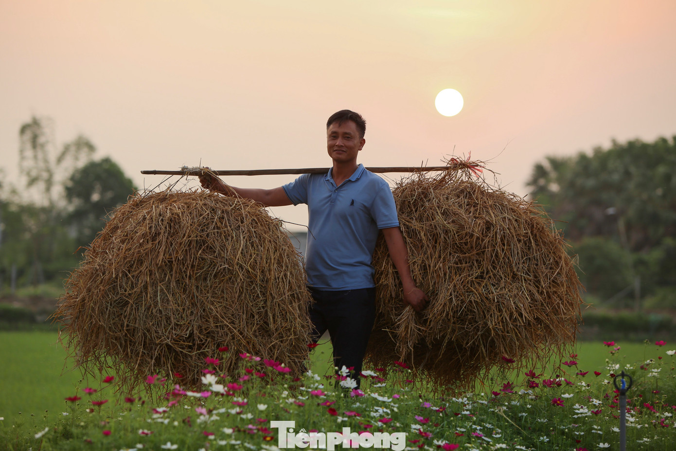 Anh Nguyễn Hữu Quyền (TP Hà Tĩnh), chủ nhân dự án cho biết, do trồng lúa chưa mang lại hiệu quả cao, anh đã thuê 5 ha đất và xây dựng mô hình trồng lúa kết hợp nuôi cá, tôm càng xanh.