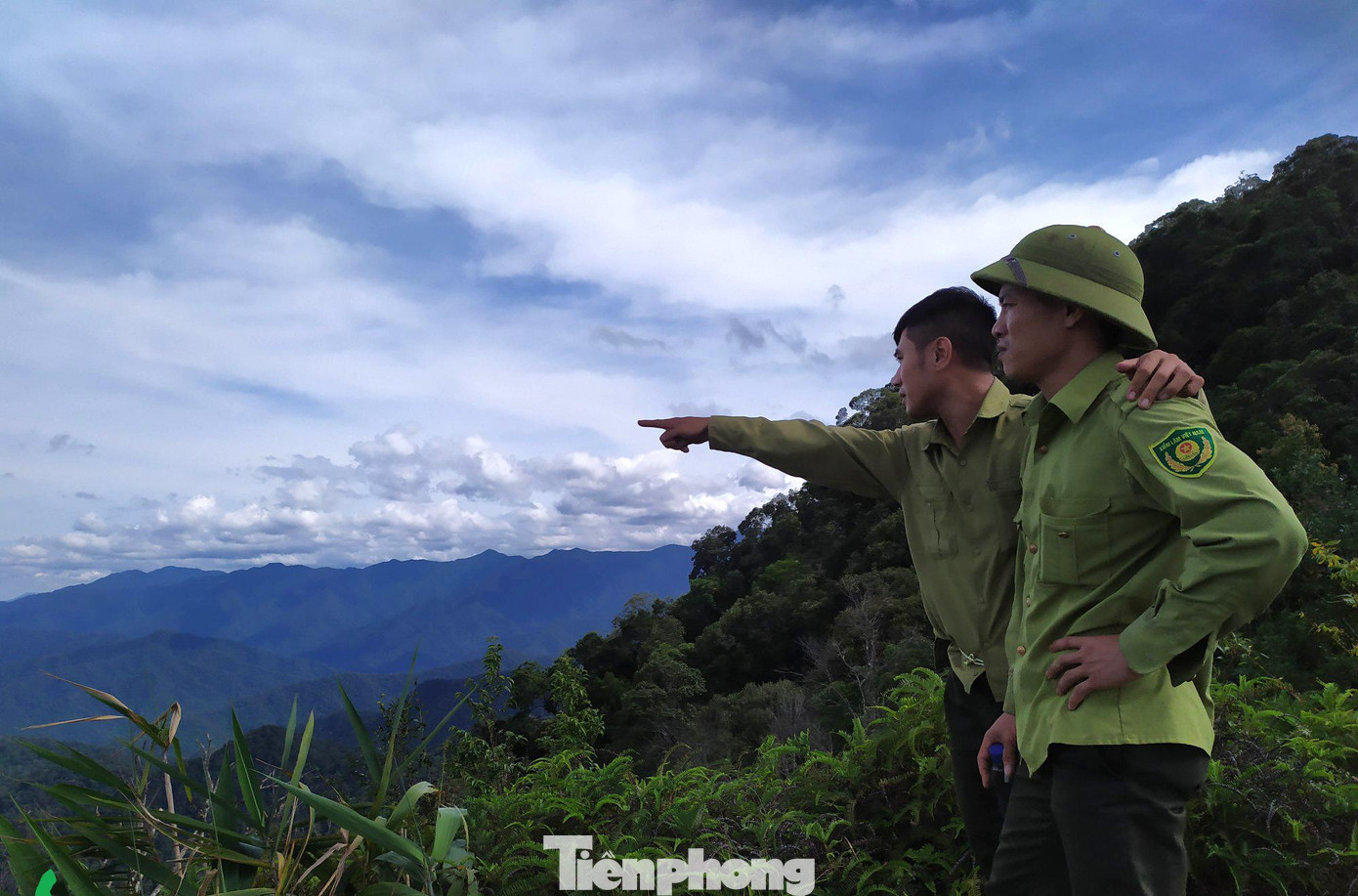 Pù Mát là rừng nguyên sinh, nằm ở sườn đông của dãy Trường Sơn với độ cao trung bình 1.200 - 1.400m so với mực nước biển, thuộc địa phận 3 huyện của Nghệ An, tiếp giáp với Lào và có hàng vạn người dân sống ven rừng. Pù Mát được xác định là nơi có tính đa dạng sinh học rất cao. Trong đó, có rất nhiều loài nguy cấp, quý hiếm có giá trị bảo tồn cấp quốc gia và quốc tế. Pù Mát là rừng nguyên sinh, nằm ở sườn đông của dãy Trường Sơn với độ cao trung bình 1.200 - 1.400m so với mực nước biển, thuộc địa phận 3 huyện của Nghệ An, tiếp giáp với Lào và có hàng vạn người dân sống ven rừng. Pù Mát được xác định là nơi có tính đa dạng sinh học rất cao. Trong đó, có rất nhiều loài nguy cấp, quý hiếm có giá trị bảo tồn cấp quốc gia và quốc tế.