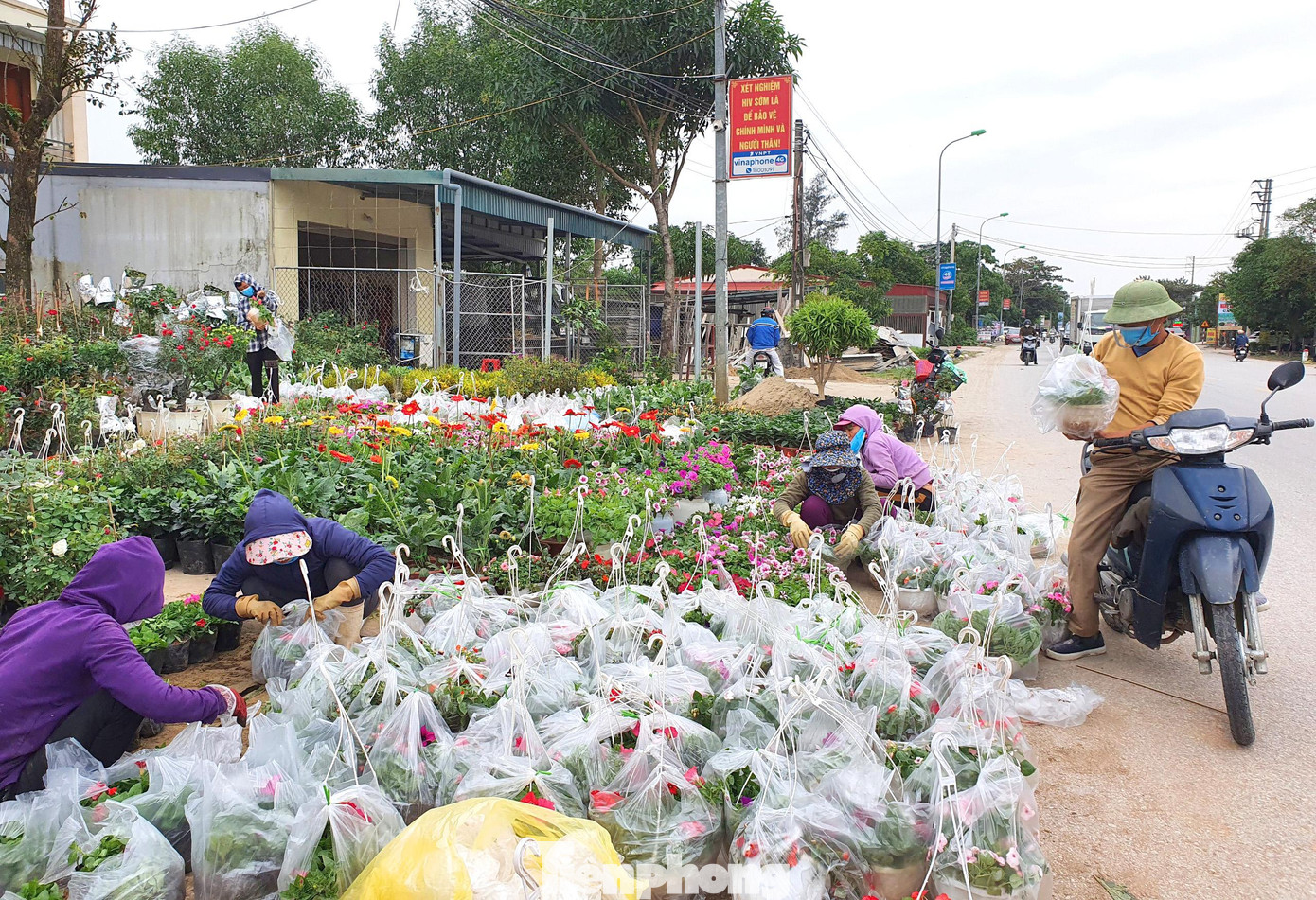 Để đảm bảo phục vụ người dân tốt nhất, ngoài đưa về những loại hoa quý, đẹp... thì những nhà vườn ở làng hoa Kim Phúc còn phải thuê rất nhiều công nhân để giúp chăm vườn hoa.