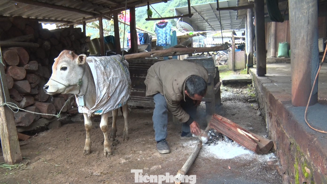 Ông Nguyễn Hữu Minh - Chủ tịch UBND huyện Kỳ Sơn, Nghệ An cho biết, nhiều trâu, bò của người dân đã bị chết do giá rét trong ít ngày qua. Ông Nguyễn Hữu Minh - Chủ tịch UBND huyện Kỳ Sơn, Nghệ An cho biết, nhiều trâu, bò của người dân đã bị chết do giá rét trong ít ngày qua.