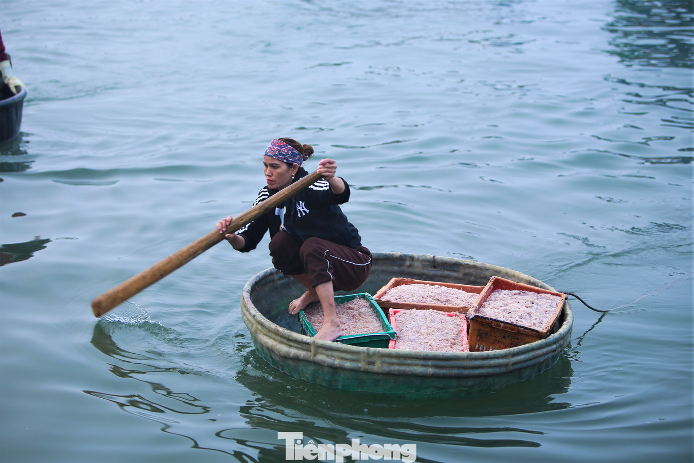 Với họ, có công việc, thu nhập mỗi sớm đến cảng cá là điều vui nhất. Họ xem đó là những bông hoa ý nghĩa và đẹp nhất ngày lễ 8/3.