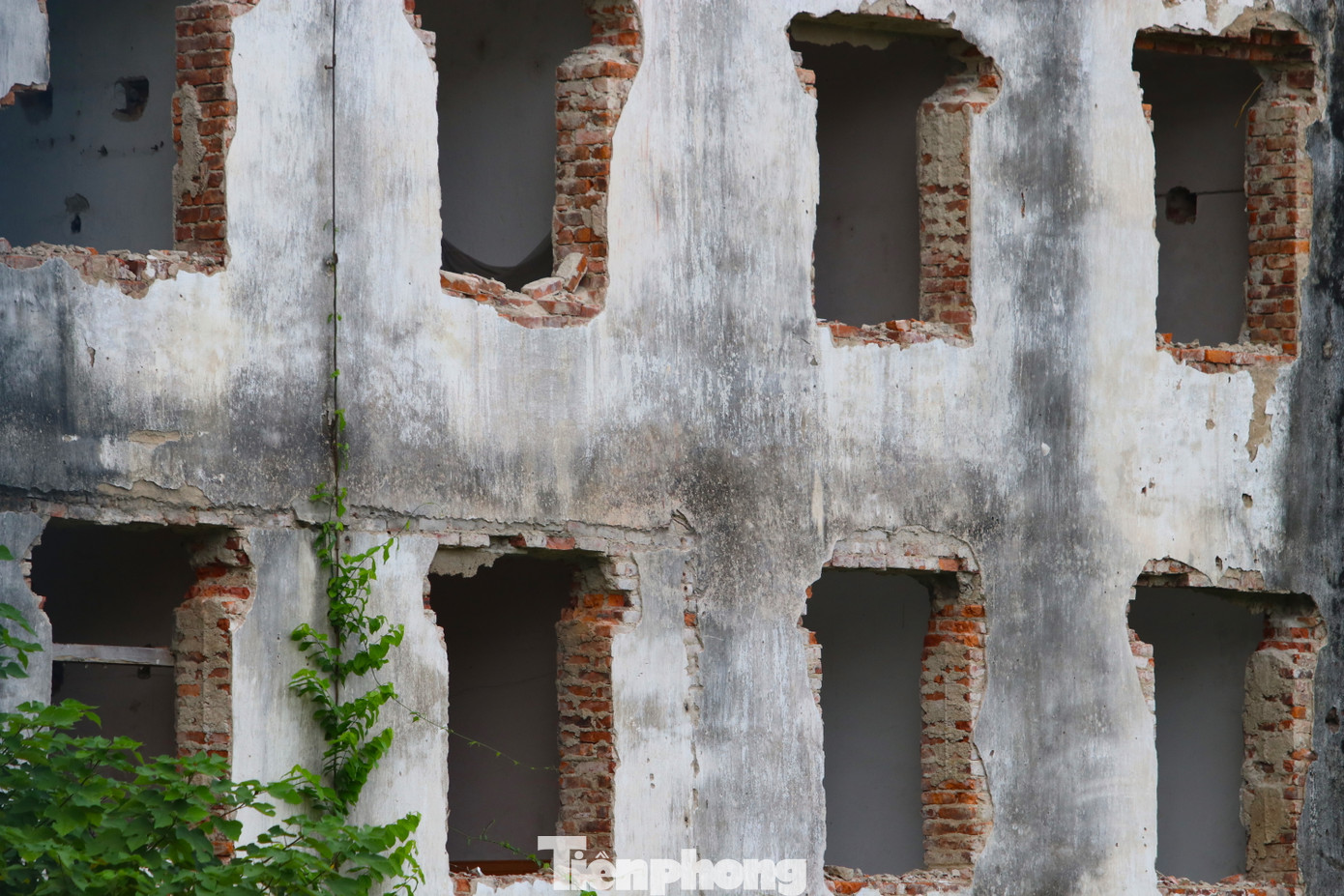 Sau khi có kế hoạch xây dựng nhà chung cư mới, 47/48 hộ dân đã tháo các tài sản bên trong, di dời để bàn giao nhà lại cho cơ quan chức năng.