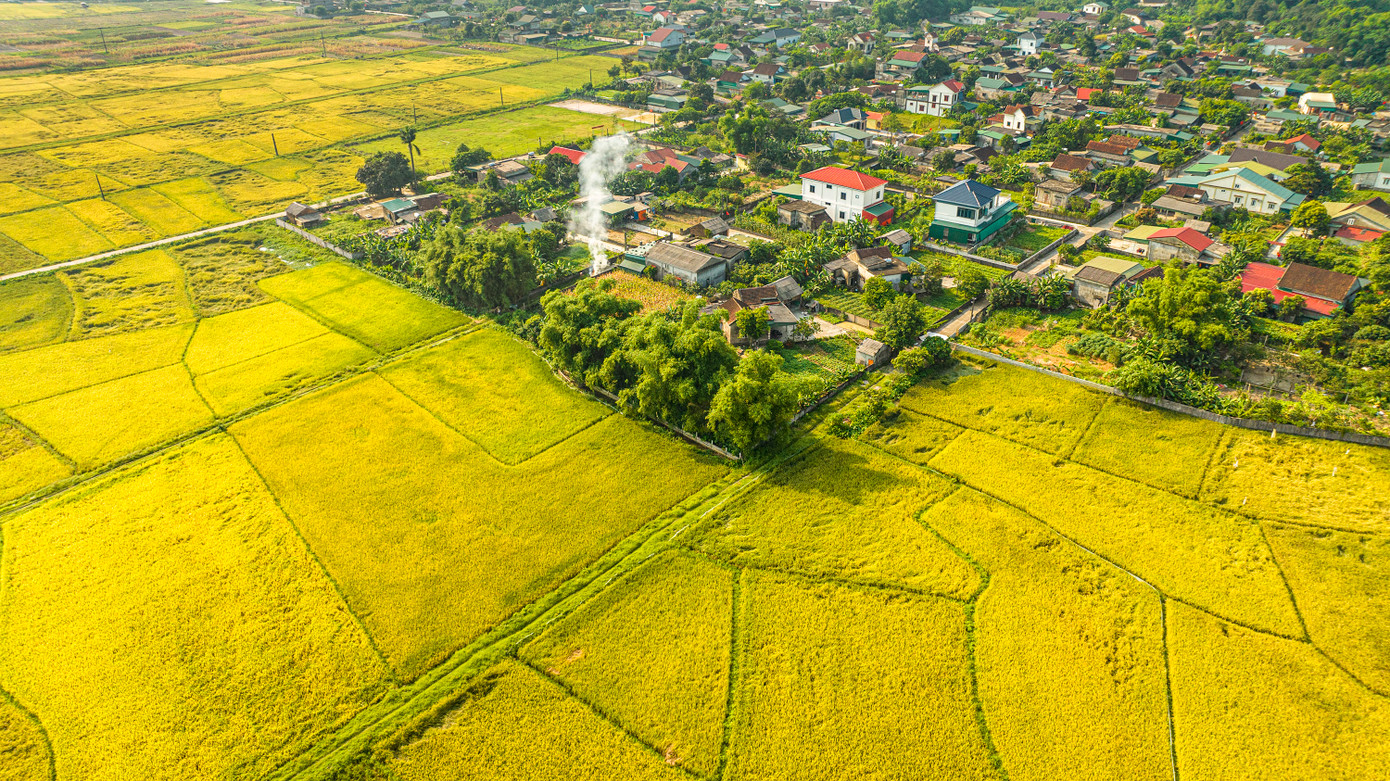 Các vựa lúa lớn của toàn tỉnh với trình độ thâm canh cao như Cẩm Xuyên, Can Lộc, Đức Thọ, Thạch Hà… tiếp tục là nhóm giữ “top” đầu của toàn tỉnh với năng suất bình quân từ 60 - 64 tạ/ha.