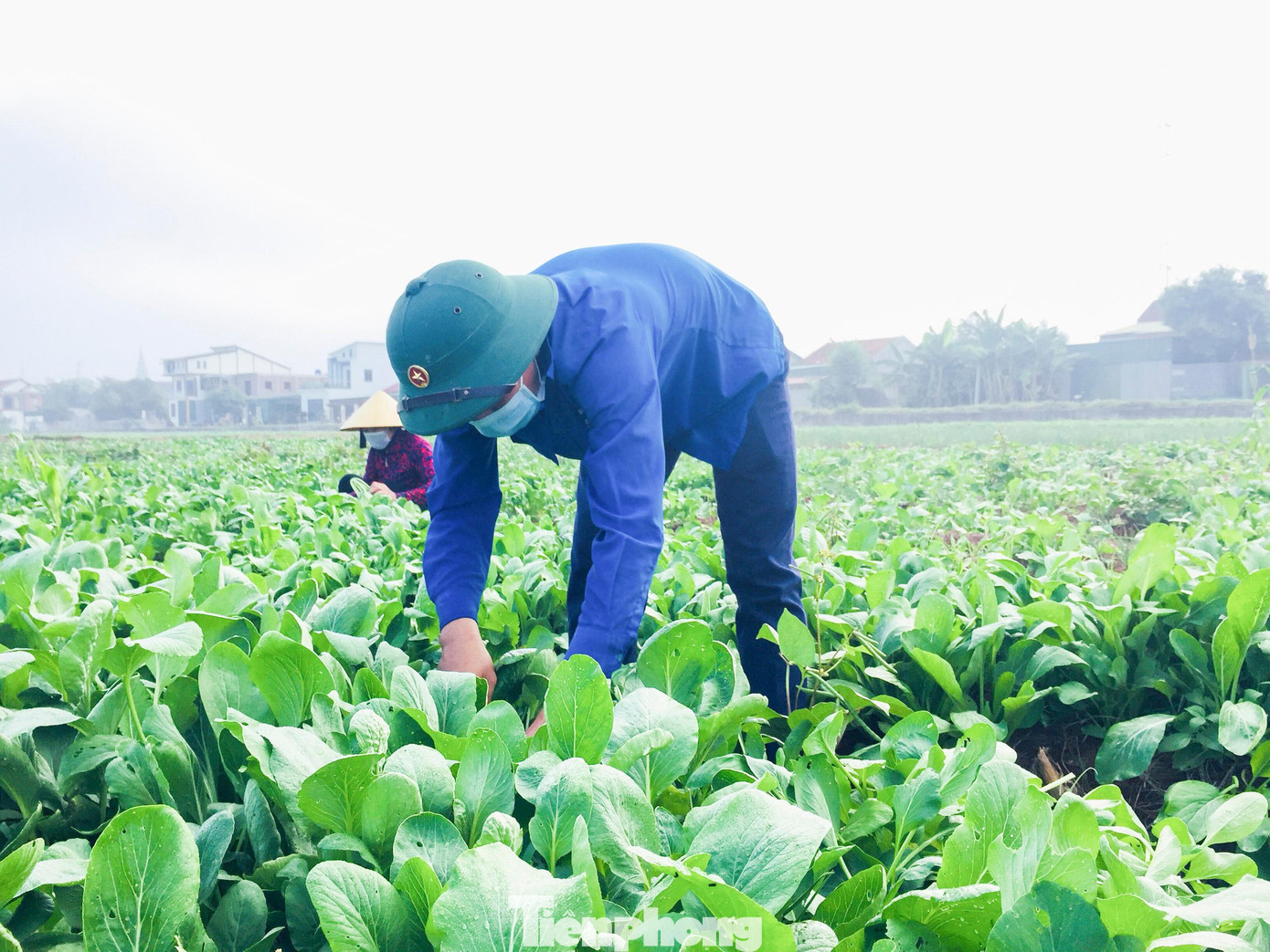 Dịch COVID-19 bùng phát và đang diễn biến phức tạp trên địa bàn tỉnh Nghệ An, 21 huyện, thị, thành ở tỉnh này đều thực hiện Chỉ thị 15, Chỉ thị 16 để phòng chống dịch. Dịch COVID-19 bùng phát và đang diễn biến phức tạp trên địa bàn tỉnh Nghệ An, 21 huyện, thị, thành ở tỉnh này đều thực hiện Chỉ thị 15, Chỉ thị 16 để phòng chống dịch.