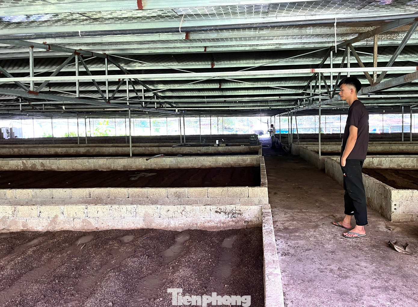 Sau khi bàn bạc lên kế hoạch kỹ lưỡng, phía chủ trại heo sẽ cung cấp nguồn chất thải, đất, chuồng trại. Còn anh Tú bỏ công, kỹ thuật, chăm sóc, lợi nhuận chia đều. Nói là làm, anh Tú và chủ trang trại bắt tay nhau đầu tư xây dựng bể lắng, dãy chuồng nuôi trùn.