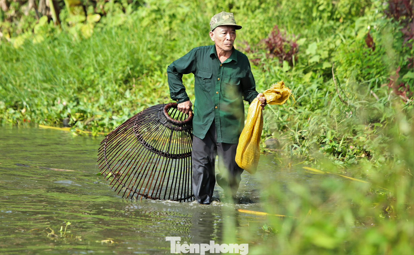 Trong khi nhiều thanh niên ra giữa hồ đuổi bắt cá lớn, các cụ ông lớn tuổi lại đi sát bờ để đón cá vào.