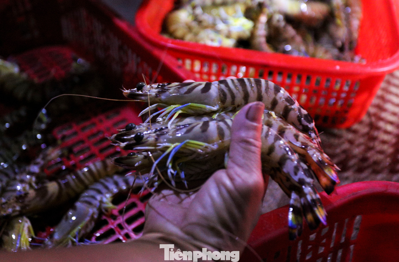 Với nhiều loại hải sản khi đưa từ thuyền lên được phân loại kỹ càng ra từng khay hàng để bán cho thương lái.