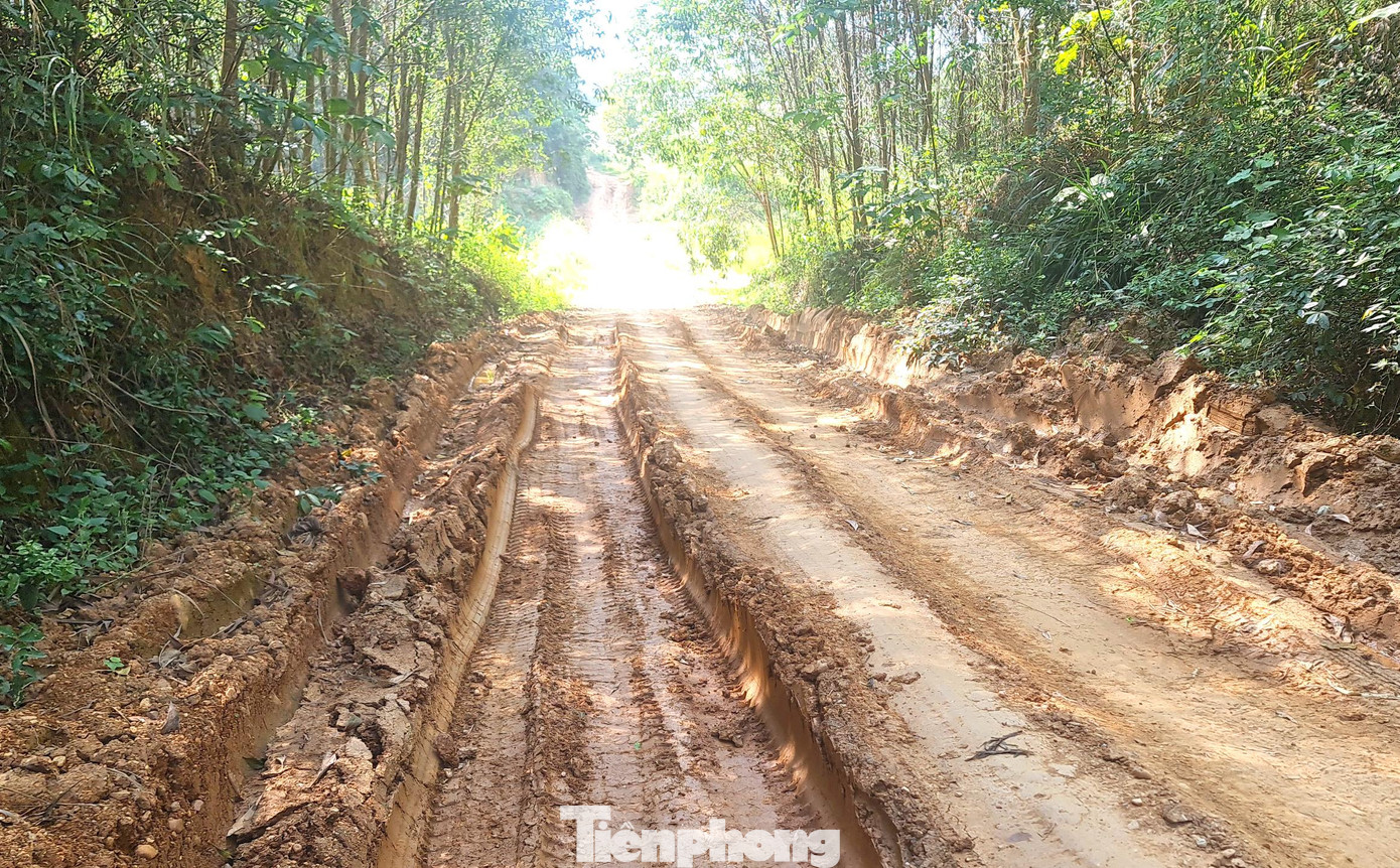 Ông Dương Công Ngọc - Chủ tịch UBND xã Bình Sơn cho biết, dự án chậm tiến độ kéo dài nhiều năm đã ảnh hưởng đến đời sống của người dân, nhất là phát triển vùng nguyên liệu như mía, keo... “Chúng tôi đang tiếp tục làm công tác giải phóng mặt bằng, đền bù cho người dân. Tổng số tiền đền bù toàn xã khoảng hơn 2 tỷ đồng, nhưng cũng rất nhỏ giọt”, ông Ngọc nói. Ông Dương Công Ngọc - Chủ tịch UBND xã Bình Sơn cho biết, dự án chậm tiến độ kéo dài nhiều năm đã ảnh hưởng đến đời sống của người dân, nhất là phát triển vùng nguyên liệu như mía, keo... “Chúng tôi đang tiếp tục làm công tác giải phóng mặt bằng, đền bù cho người dân. Tổng số tiền đền bù toàn xã khoảng hơn 2 tỷ đồng, nhưng cũng rất nhỏ giọt”, ông Ngọc nói.