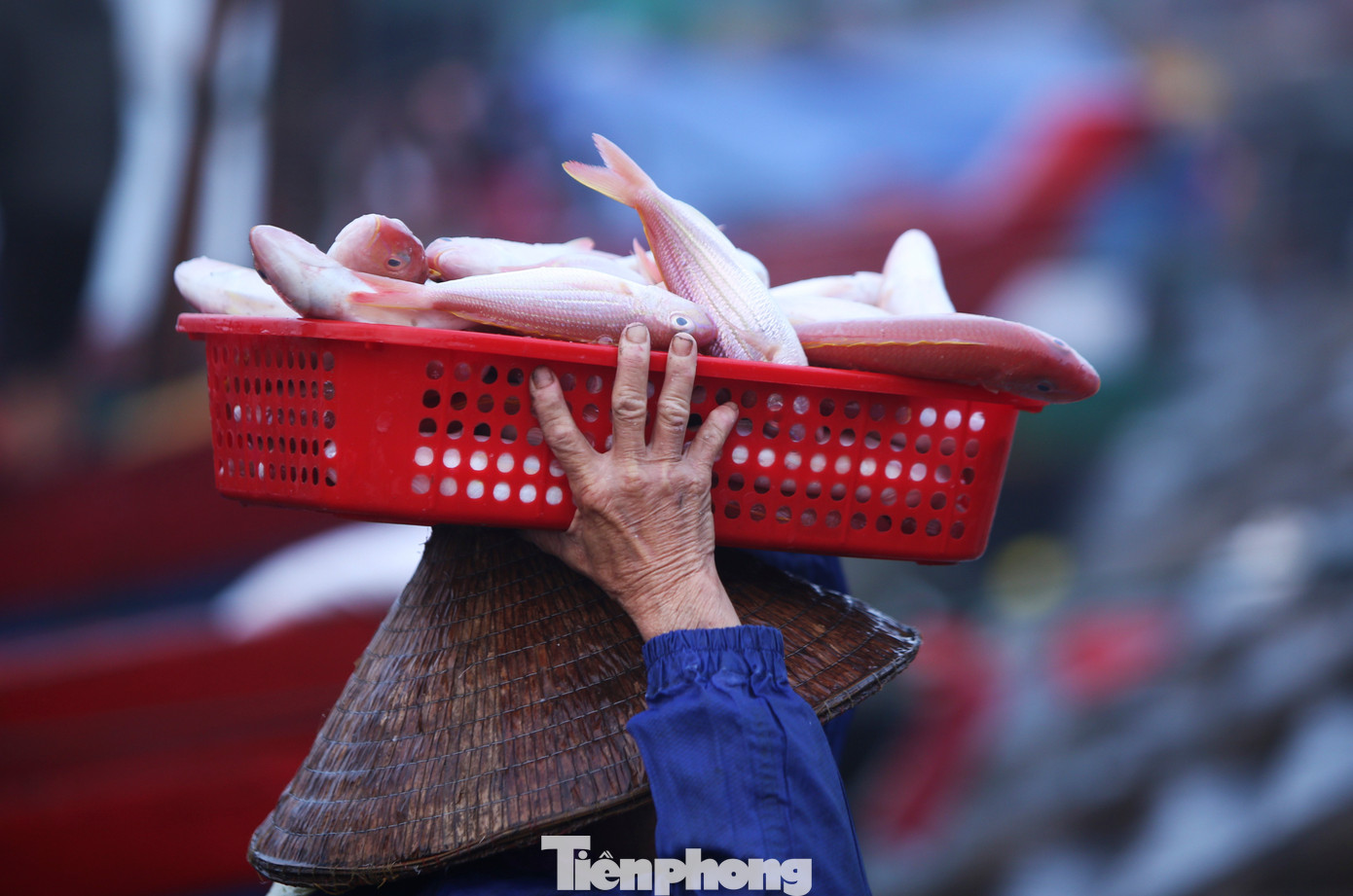 "8/3 hay ngày gì cũng thế, cứ đội được nhiều cá, có nhiều tiền là vui rồi. Hoa, quà cứ quy ra cá, tôm là khỏe nhất”, bà vui vẻ nói.