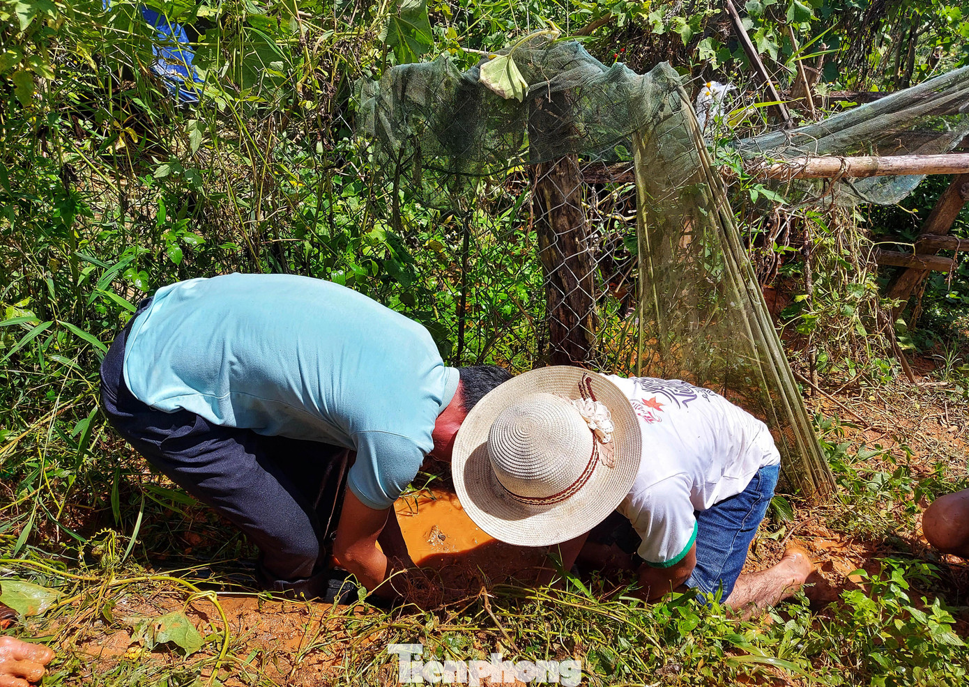 Để có nước cho học sinh ăn uống, tắm giặt hàng ngày, sau mỗi buổi lên lớp, giáo viên chia nhau băng qua các cánh rừng để tìm nguồn nước về trường. Để có nước cho học sinh ăn uống, tắm giặt hàng ngày, sau mỗi buổi lên lớp, giáo viên chia nhau băng qua các cánh rừng để tìm nguồn nước về trường.