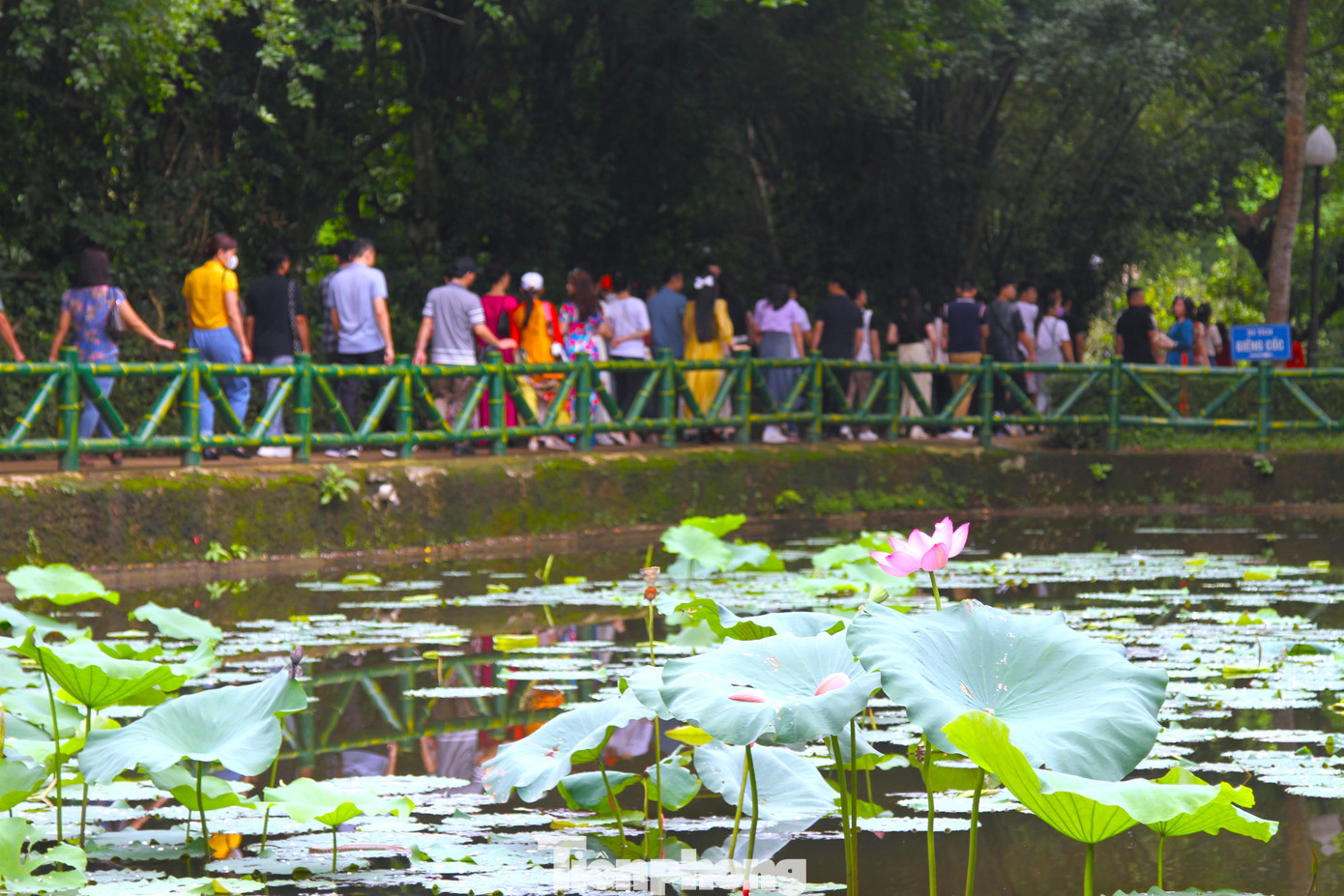 Du khách hành hương về quê Bác và thích thú khi được nghe những câu chuyện về Bác Hồ.