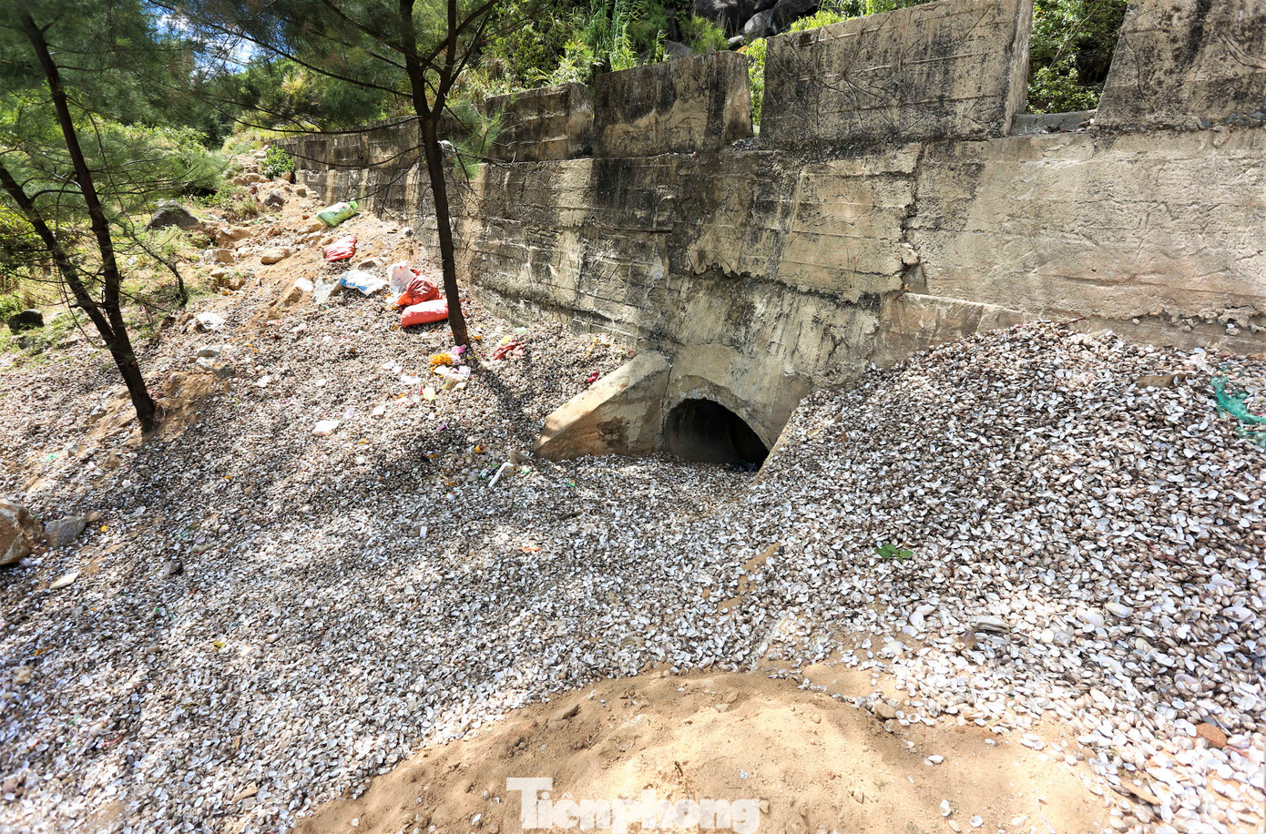 Rác thải bị vứt bừa bãi dọc tuyến đường với đủ loại, từ rác thải sinh hoạt (chai lọ, thức ăn dư thừa, túi nilon), rác thải xây dựng (gạch vụn, ngói vỡ, đất, đá) cho tới rác thải từ hoạt động đánh bắt thủy hải sản (vỏ hến, ngao, sò, hàu...).