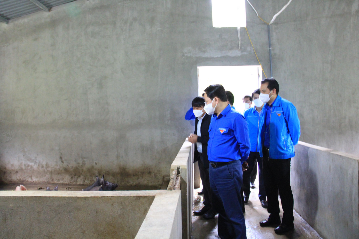 Trong khuôn khổ chương trình &quot;Tháng 3 biên giới&quot; cấp Trung ương tại Nghệ An, đoàn đại biểu T.Ư Đoàn đã đến thăm, làm việc tại Tổng đội TNXP 9 - Làng Thanh niên lập nghiệp biên giới Tam Hợp. Tại đây, các đại biểu đã tham quan khu trình diễn chăn nuôi - là một trong những hạng mục thuộc Dự án xây dựng Làng Thanh niên lập nghiệp biên giới Tam Hợp.