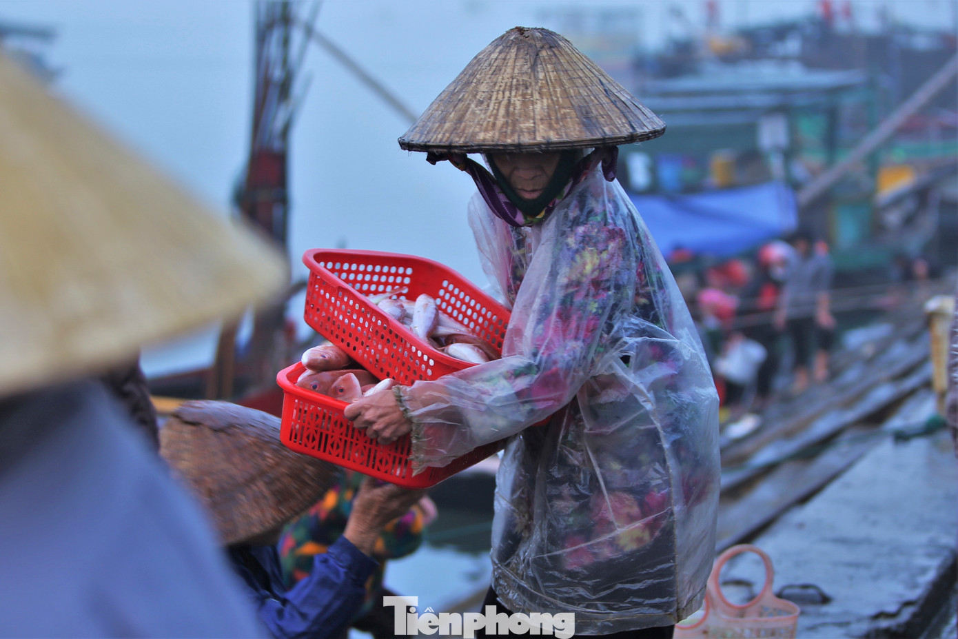 Còn bà Nguyễn Thị Lương (65 tuổi, trú xã Thạch Kim), nói bốc vác thuê cá là nghề cực nhọc, ngày nào cũng đội cả tấn cá trên đầu, tay chân ngấm vị muối nhưng làm mãi cũng quen.