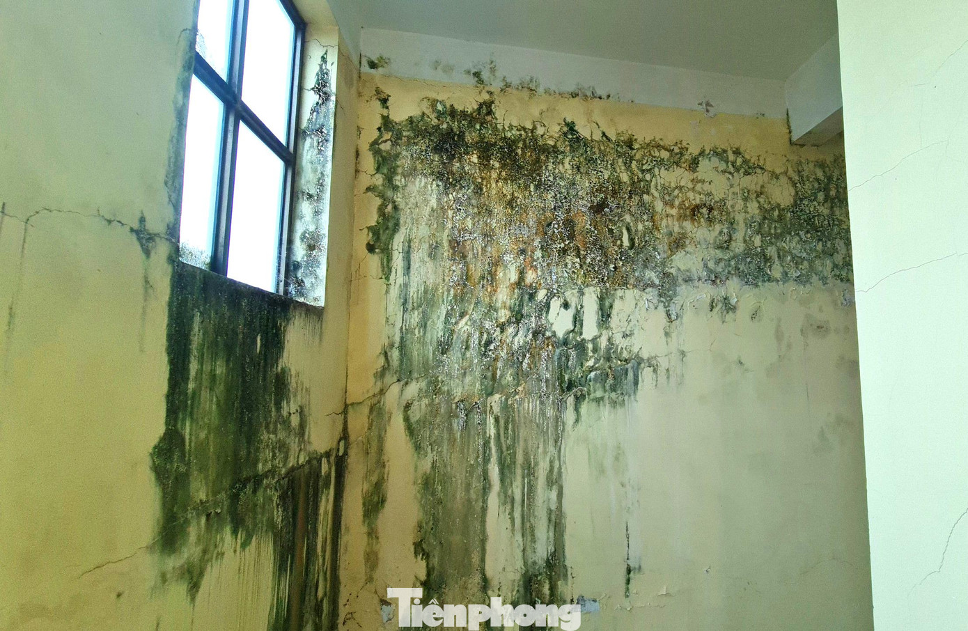 Nhiều mảng tường bong tróc, ẩm mốc. Nhiều mảng tường bong tróc, ẩm mốc.