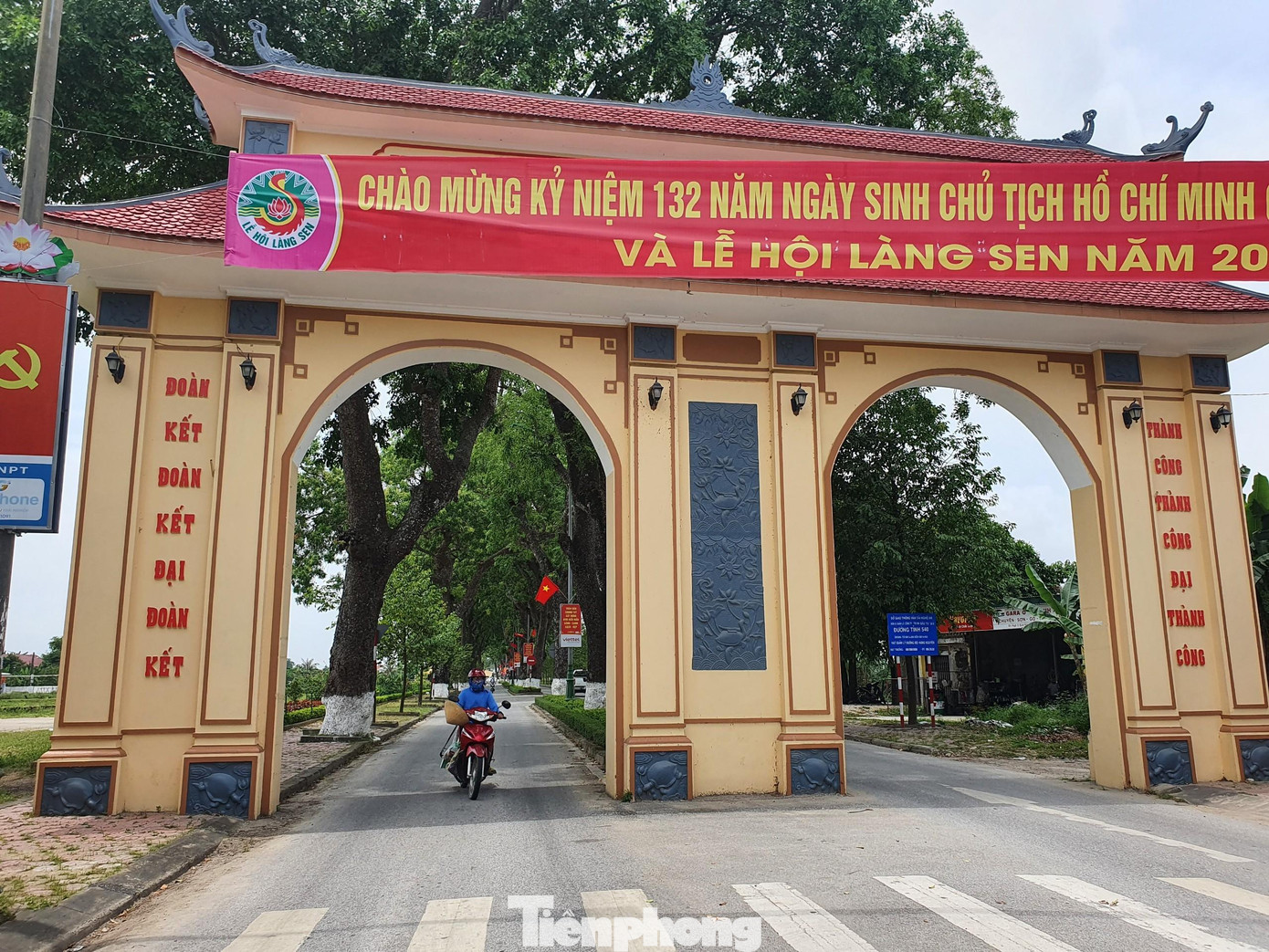 Từ Quốc lộ 46 rẽ vào làng Sen (xã Kim Liên, huyện Nam Đàn, Nghệ An) - quê nội Bác Hồ là hàng cây xà cừ có tuổi đời hơn nửa thế kỷ. Theo lời kể của các cụ cao niên, hàng cây xà cừ được người dân xã Kim Liên trồng từ những năm 1960 của thế kỷ trước, sau lời kêu gọi Tết trồng cây của Bác Hồ.