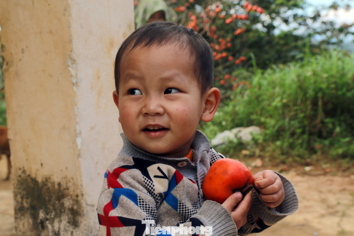 Hồng cũng là món ăn ưa thích của những đứa trẻ người Mông nơi đây.