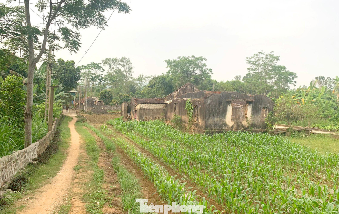“Đất ở ít, hơn nữa đất ở khu tái định cư cằn cỗi, sỏi đá nên sợ không canh tác được. Đặc biệt số tiền hỗ trợ để di dời được là quá ít”, bà Quý nói về lý do từ chối di dời.
