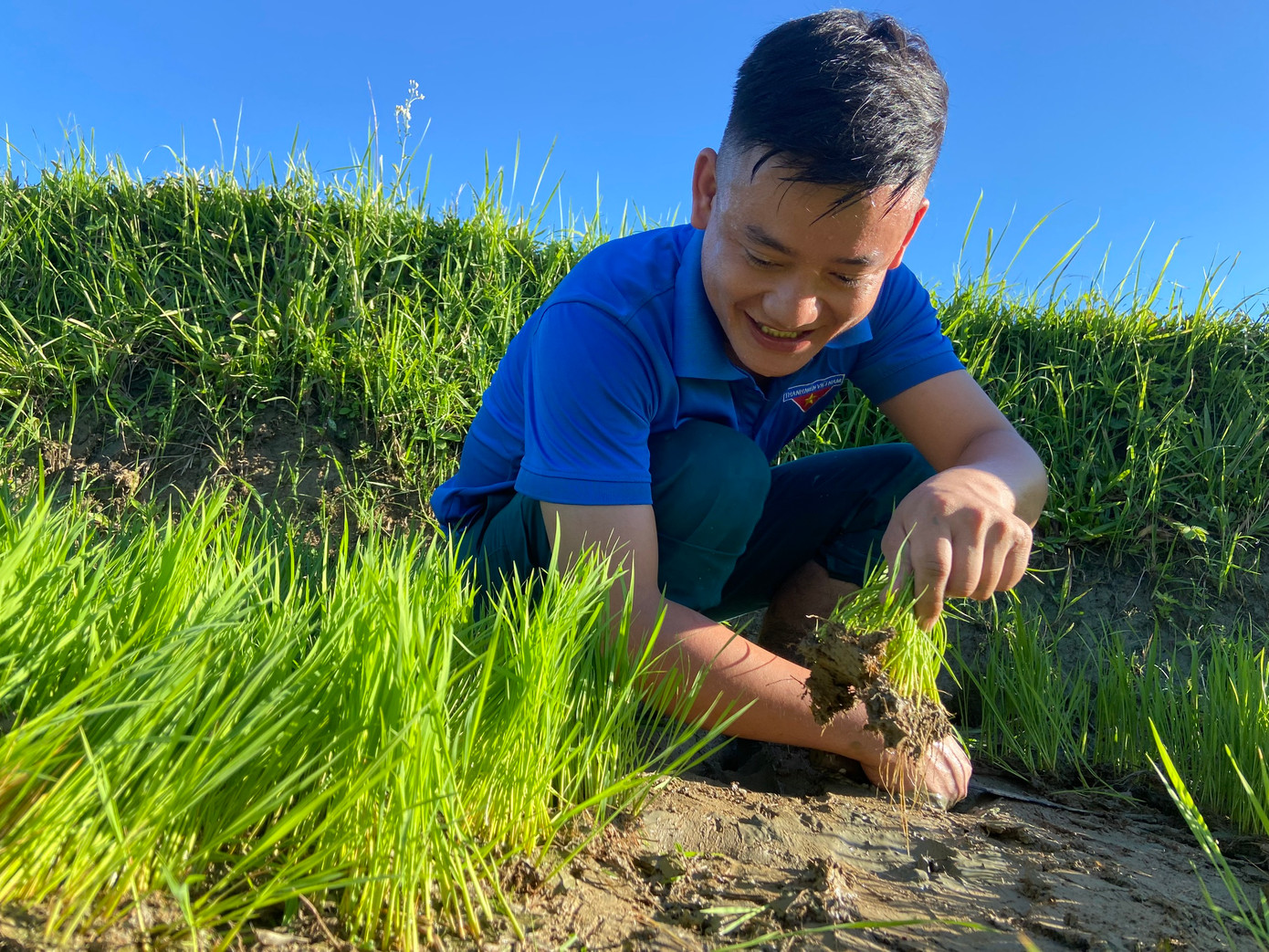 Các đoàn viên thanh niên hỗ trợ từ việc nhổ mạ, rồi vận chuyển mạ đến ruộng và cấy lúa. Áo xanh đã thẫm đẫm mồ hôi nhưng trên khuôn mặt mỗi người vẫn nở nụ cười vì những công việc ý nghĩa đang làm.