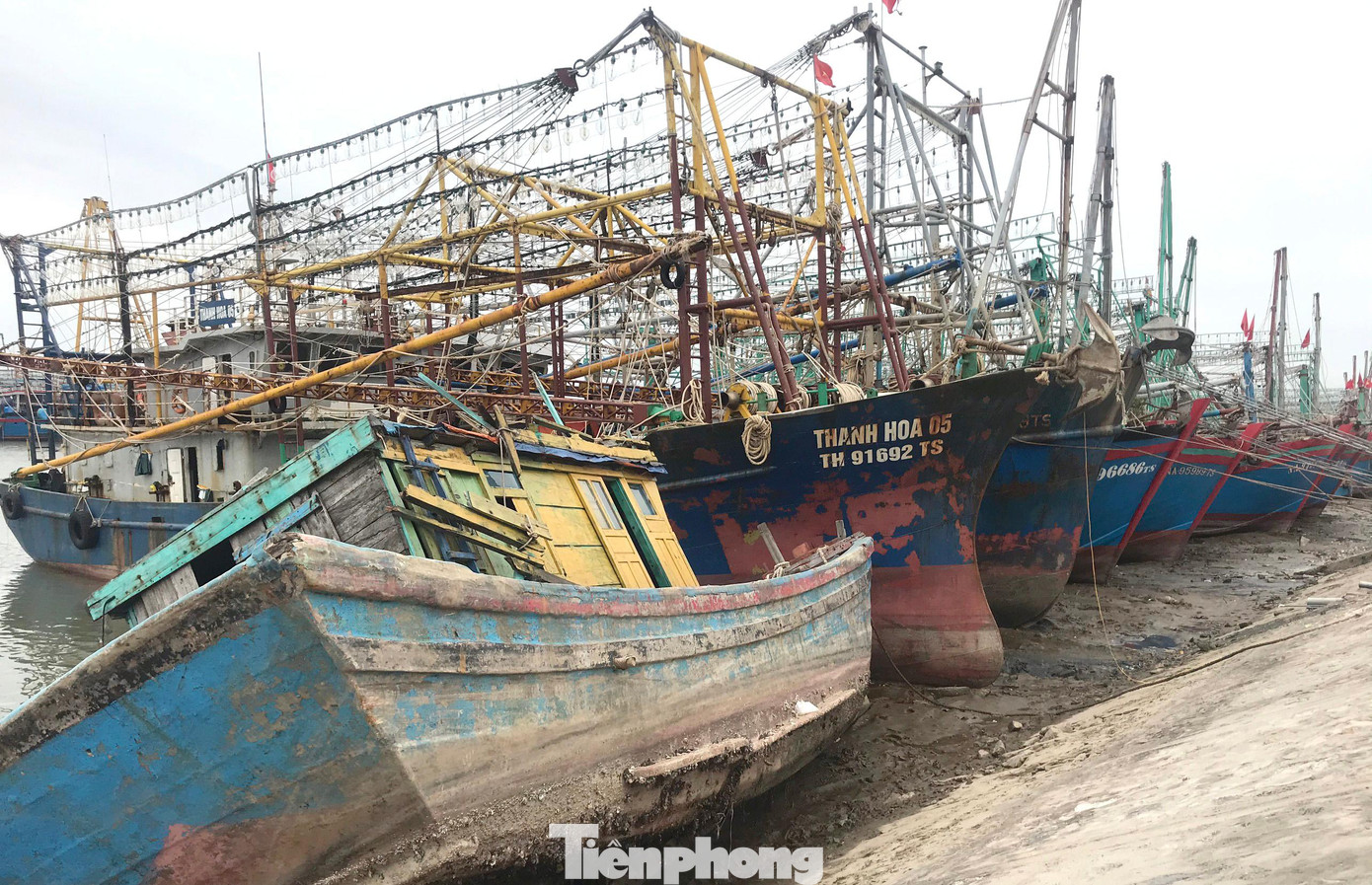 Theo kinh nghiệm của ngư dân Nghệ An, khoảng giữa tháng 3 đến tháng 6 là mùa đánh bắt cá trên biển thuận lợi nhất trong năm, bởi trời yên biển lặng. Song tại xã Tiến Thuỷ (huyện Quỳnh Lưu, Nghệ An) thời điểm này, hàng loạt con tàu công suất lớn hơn 1000 CV vẫn nằm bờ. Thậm chí nhiều chủ tàu đã quyết định họp các thuyền viên để thanh lý tàu cá, chuyển đổi nghề nghiệp. Theo kinh nghiệm của ngư dân Nghệ An, khoảng giữa tháng 3 đến tháng 6 là mùa đánh bắt cá trên biển thuận lợi nhất trong năm, bởi trời yên biển lặng. Song tại xã Tiến Thuỷ (huyện Quỳnh Lưu, Nghệ An) thời điểm này, hàng loạt con tàu công suất lớn hơn 1000 CV vẫn nằm bờ. Thậm chí nhiều chủ tàu đã quyết định họp các thuyền viên để thanh lý tàu cá, chuyển đổi nghề nghiệp.