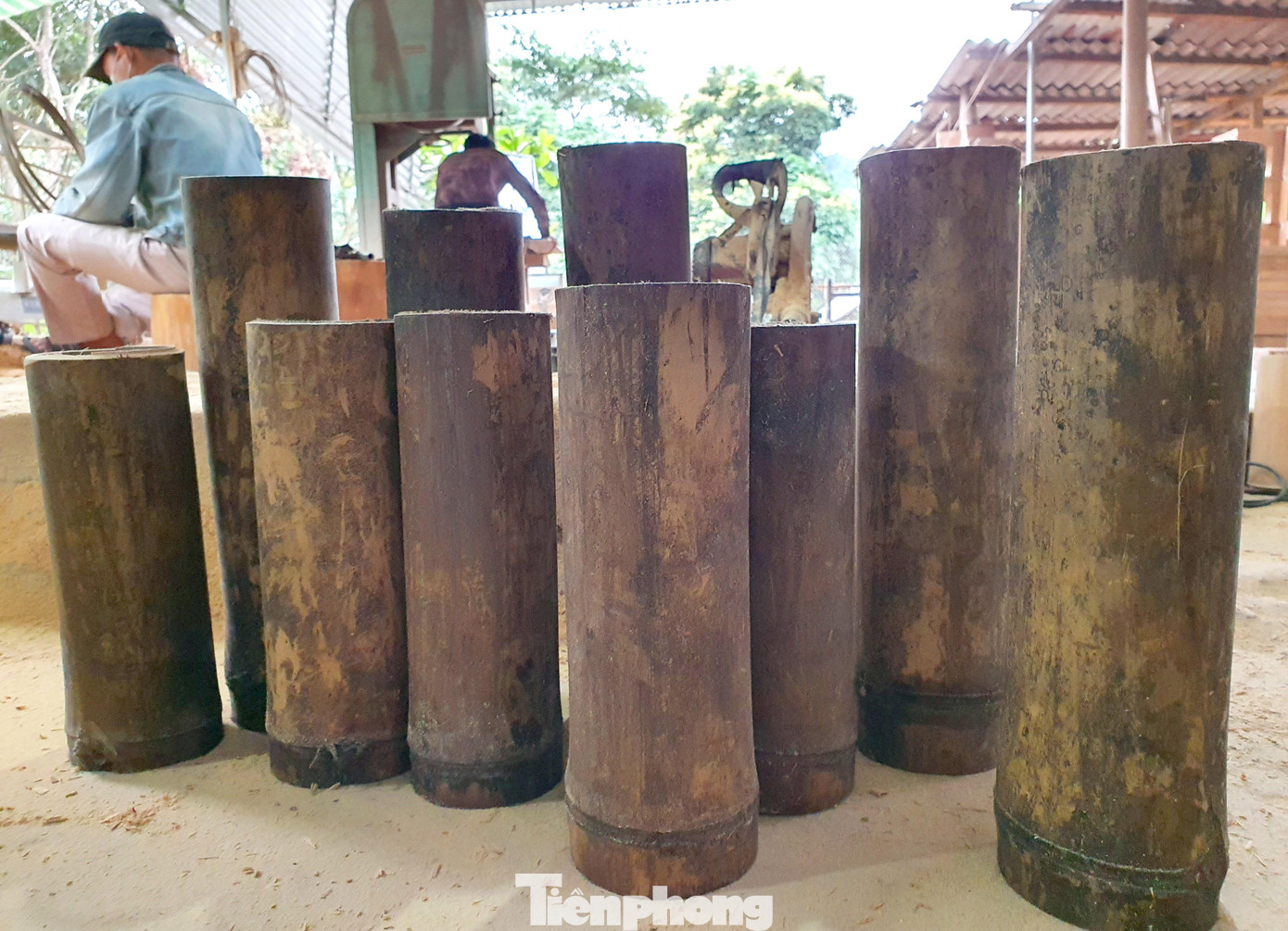 Theo anh Tiến, lớn lên giữa bạt ngàn tre, trúc… người dân trồng tre, trúc, rất vất vả cực khổ mà thu nhập chẳng bao nhiêu. Sau nhiều trăn trở sao cứ nghèo mãi trên nguồn tài nguyên vô giá, anh Tiến nảy sinh ra ý tưởng chế tác các sản phẩm gia dụng, mỹ nghệ từ tre để tạo ra giá trị mới cho cây tre.