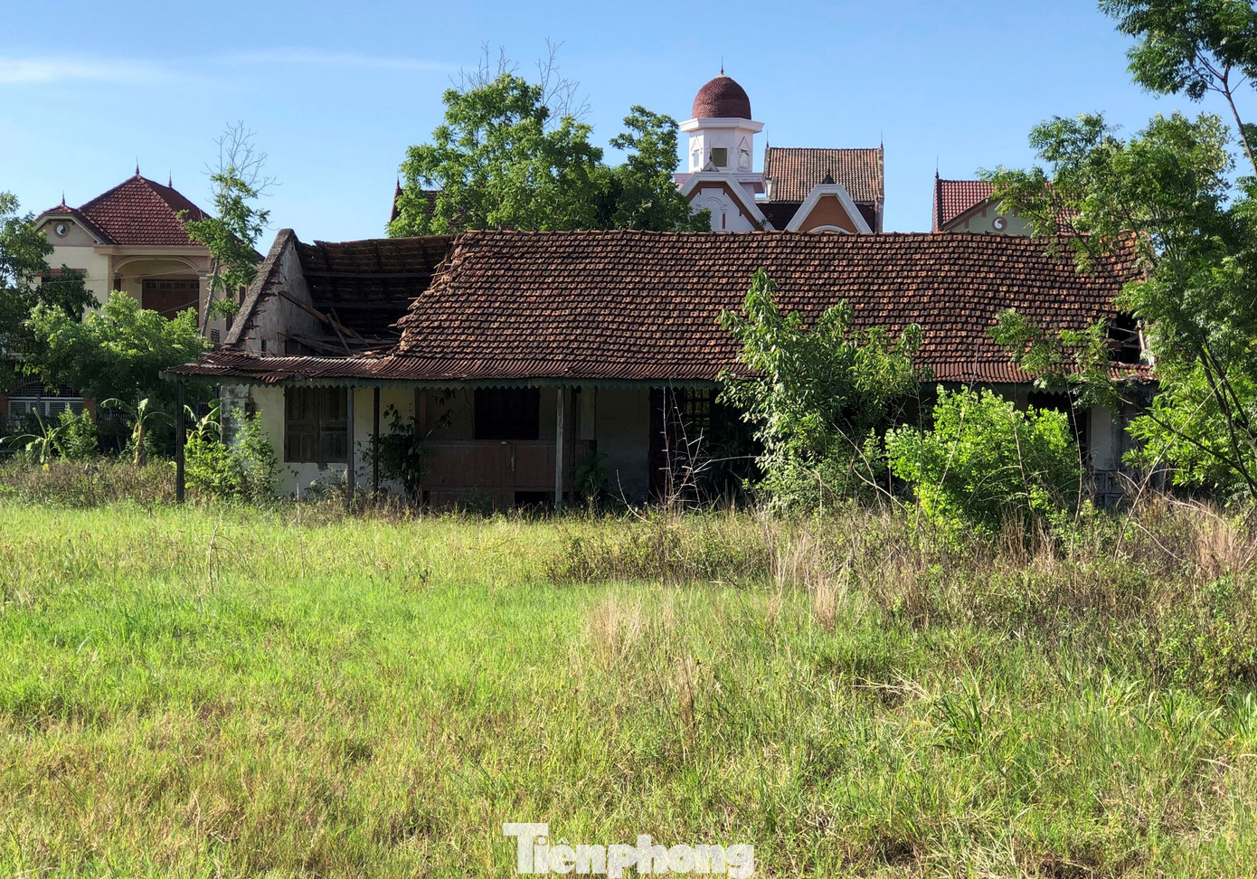 Bên trong khu đất cỏ mọc um tùm. Bên trong khu đất cỏ mọc um tùm.