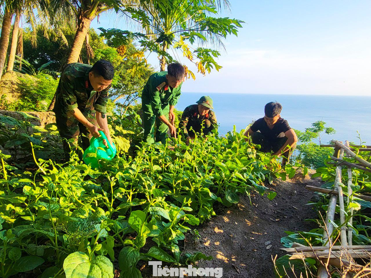 "Trồng trọt, chăn nuôi vừa tạo nguồn thực phẩm sạch, đảm bảo sức khỏe, vừa phát triển phong trào thanh niên thi đua sản xuất." - Đại úy Nguyễn Công Khánh cho hay.