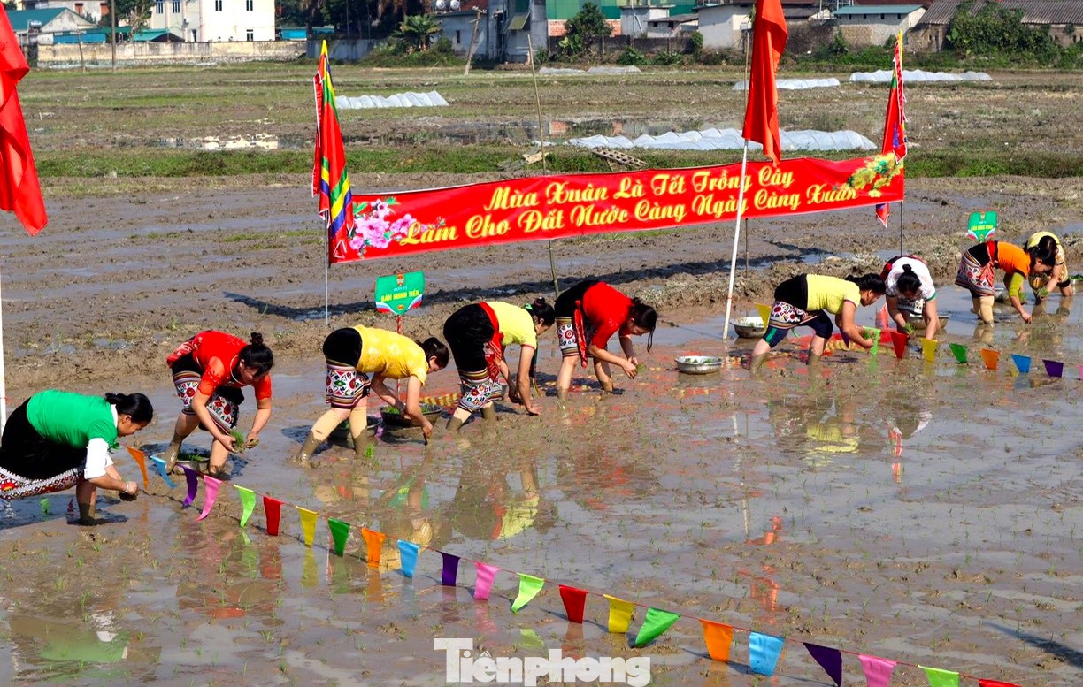Trước khi tổ chức phần thi cấy lúa, Ban tổ chức lễ hội đã thực hiện nghi thức cúng các vị thần như Pù xưa, thần núi, thần rừng, những vị anh hùng khai bản lập mường. Lễ hội có ý nghĩa mong muốn cầu cho mưa thuận, gió hòa, mùa màng bội thu, nhân dân có cuộc sống ấm no, hạnh phúc. Trước khi tổ chức phần thi cấy lúa, Ban tổ chức lễ hội đã thực hiện nghi thức cúng các vị thần như Pù xưa, thần núi, thần rừng, những vị anh hùng khai bản lập mường. Lễ hội có ý nghĩa mong muốn cầu cho mưa thuận, gió hòa, mùa màng bội thu, nhân dân có cuộc sống ấm no, hạnh phúc.