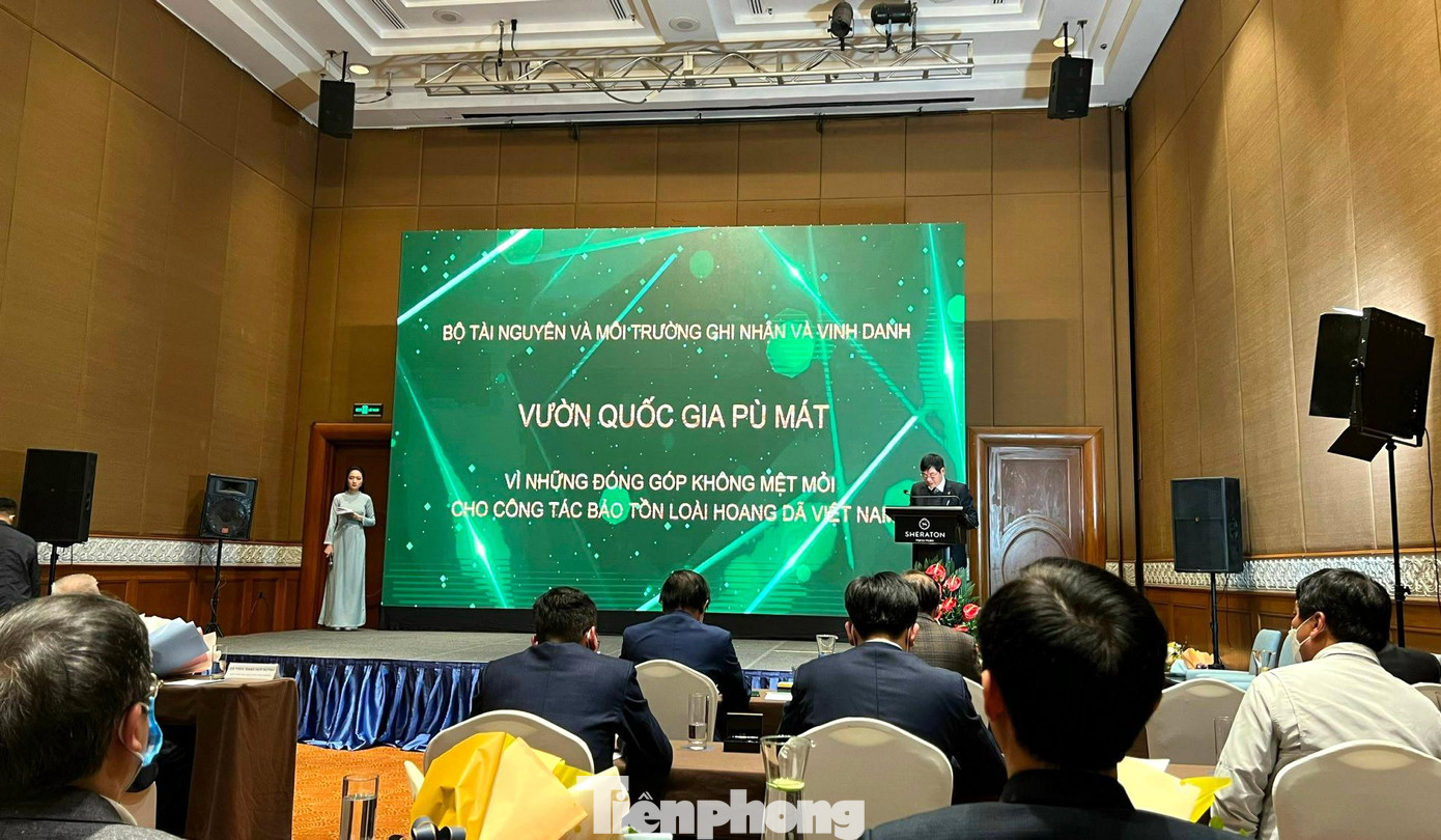 Với những nỗ lực của mình, tháng 1/2022, VQG Pù Mát được Bộ Tài nguyên và Môi trường phối hợp với Ngân hàng thế giới và Tổ chức WWF Việt Nam vinh danh có nhiều đóng góp cho công tác bảo tồn loài hoang dã giai đoạn 2010-2020 Với những nỗ lực của mình, tháng 1/2022, VQG Pù Mát được Bộ Tài nguyên và Môi trường phối hợp với Ngân hàng thế giới và Tổ chức WWF Việt Nam vinh danh có nhiều đóng góp cho công tác bảo tồn loài hoang dã giai đoạn 2010-2020