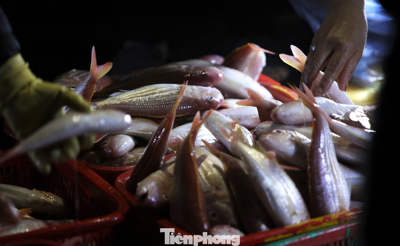 Những khay hải sản đủ loại, tươi ngon, nhiều loại còn sống được bày bán ngay trên khu vực cảng.