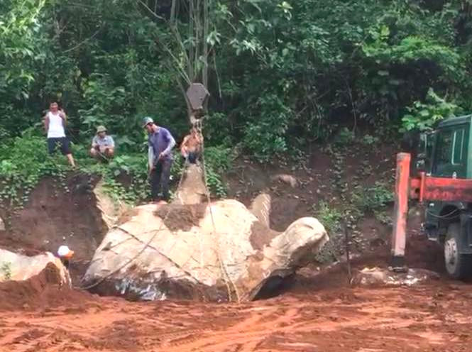 Tảng đá giống hình thù con rùa được tìm thấy ở xóm Tân Đông (xã Đồng Văn, huyện Tân Kỳ, tỉnh Nghệ An) gây xôn xao dư luận.