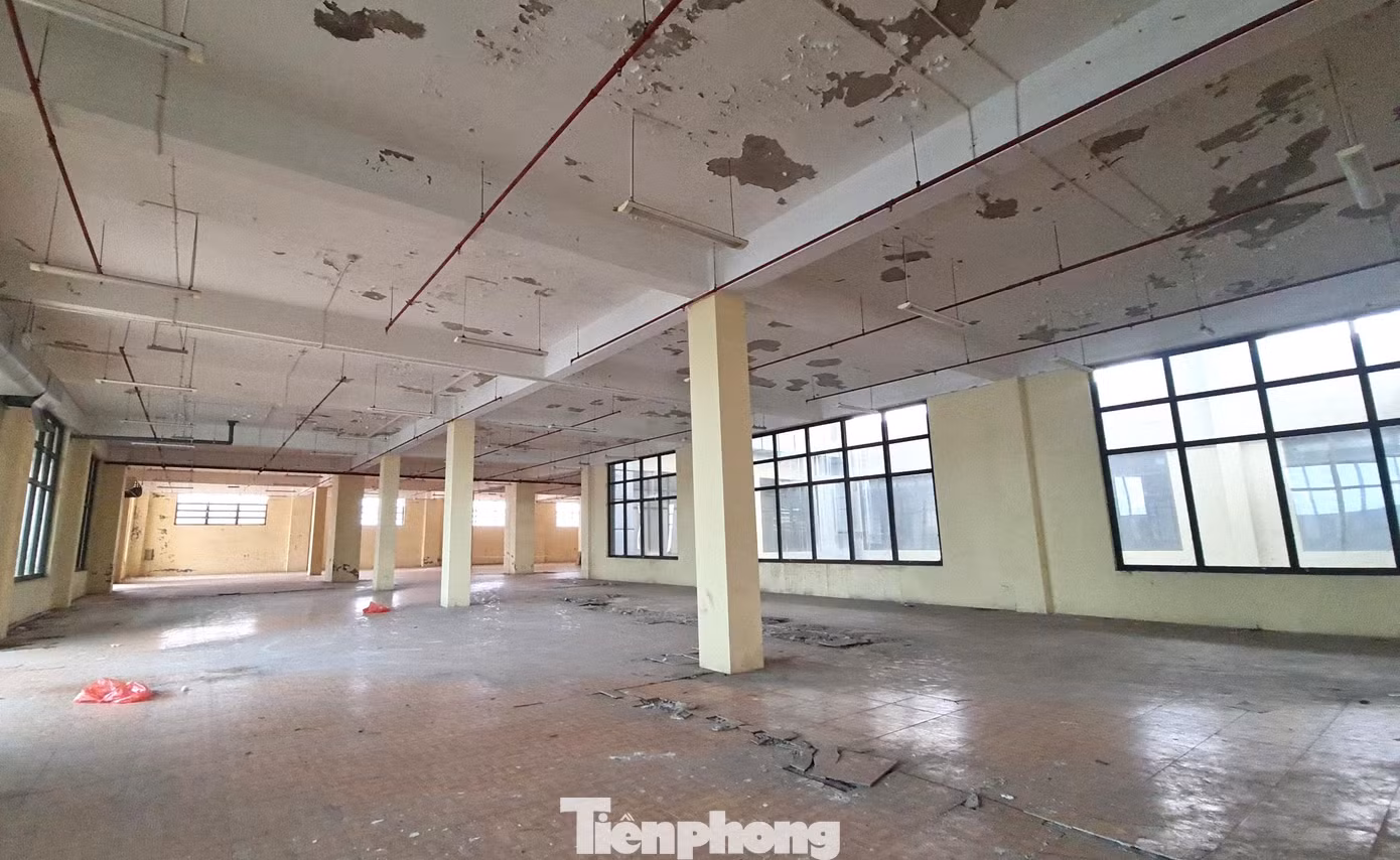 Tầng 3 rộng 1.200 m2 chia thành 2 khu vực: Văn phòng làm việc của ban quản lý chợ, các văn phòng đại diện; các hoạt động kinh doanh của siêu thị và dịch vụ ăn uống, giải khát. Tuy nhiên, từ khi chợ đi vào hoạt động đến nay, tầng 3 không phát huy tác dụng.