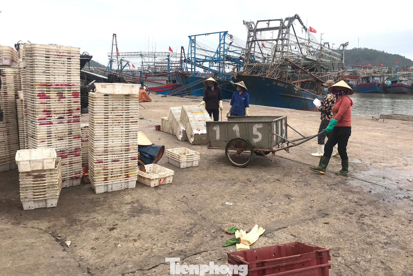 Thuyền nằm bờ không chỉ ngư dân thất nghiệp mà nhiều người sống “bám” vào ngư dân, làm nghề vận chuyển cá, buôn bán hải sản… cũng chẳng có việc làm. Thuyền nằm bờ không chỉ ngư dân thất nghiệp mà nhiều người sống “bám” vào ngư dân, làm nghề vận chuyển cá, buôn bán hải sản… cũng chẳng có việc làm.