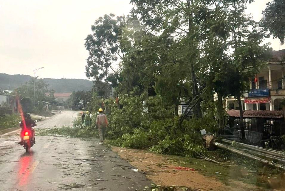 Cây đổ trên địa bàn huyện Quỳ Châu nơi giông lốc quét qua.