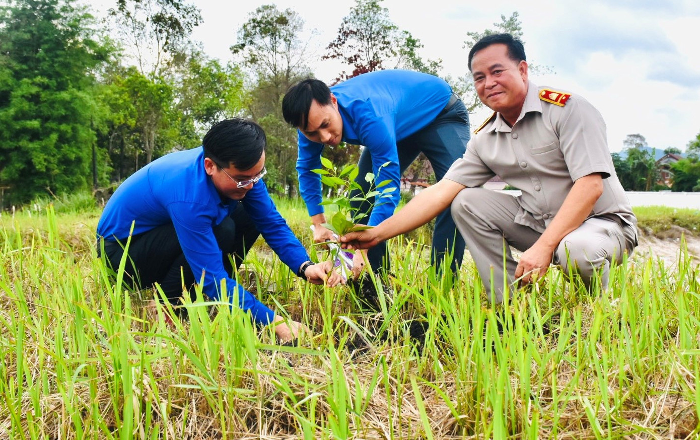 Hỗ trợ 100 cây cam giống và tập huấn chuyển giao khoa học kỹ thuật trồng trọt cho các mô hình kinh tế thanh niên. Hỗ trợ 100 cây cam giống và tập huấn chuyển giao khoa học kỹ thuật trồng trọt cho các mô hình kinh tế thanh niên.