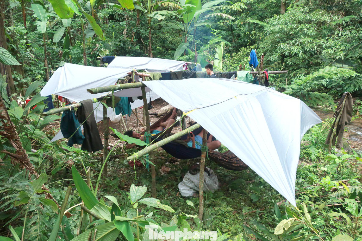 Những giấc ngủ tạm bợ trong rừng sâu mỗi khi đi tuần tra trong rừng già Những giấc ngủ tạm bợ trong rừng sâu mỗi khi đi tuần tra trong rừng già