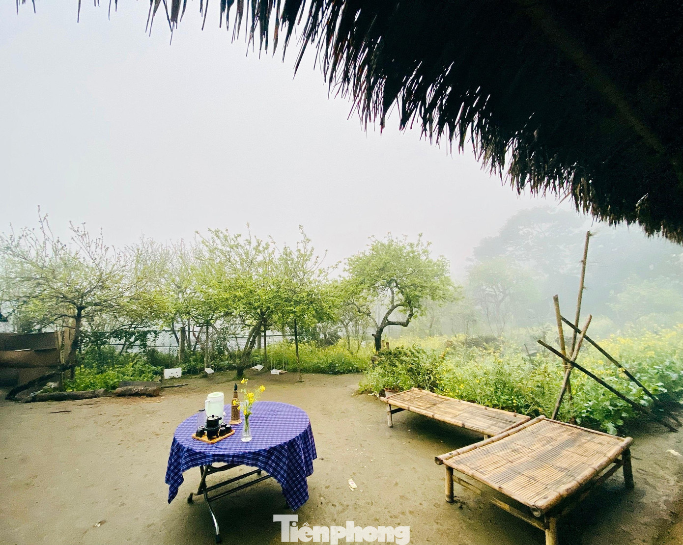 Bà Cụt Thị Hương - Trưởng phòng Văn hóa thông tin H.Kỳ Sơn - cho biết Mường Lống có khí hậu rất đặc biệt, núi rừng hùng vĩ nên đang ngày một thu hút du khách, giới trẻ tìm đến thưởng lãm. Hiện nhiều người dân nơi đây cũng đã bắt đầu học làm Homestay để đáp ứng nhu cầu cho du khách ở lại.