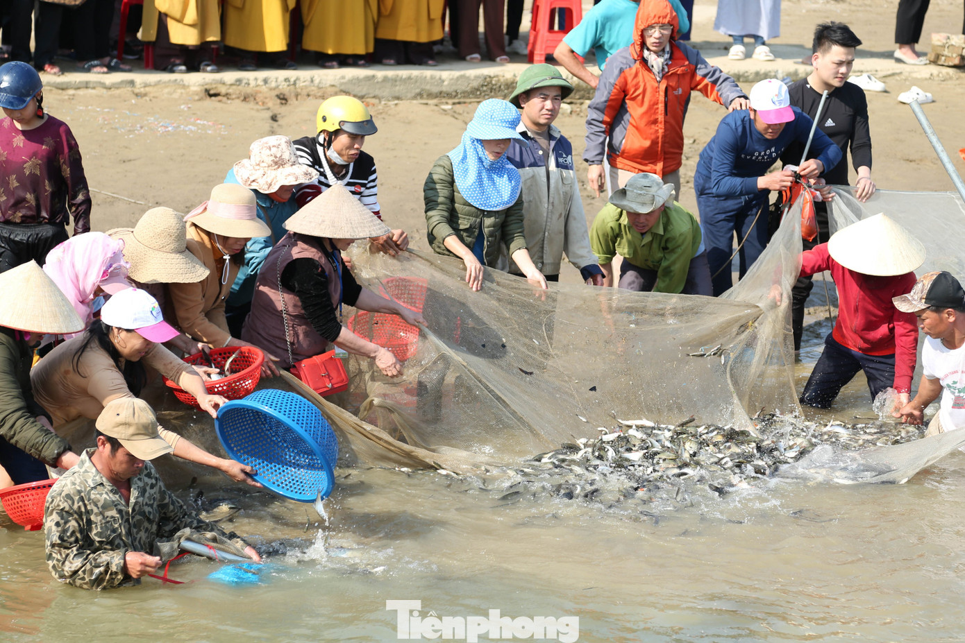Cá được đưa ra khu vực sâu để thả, đảm bảo cá về với thiên nhiên an toàn, khỏe mạnh.