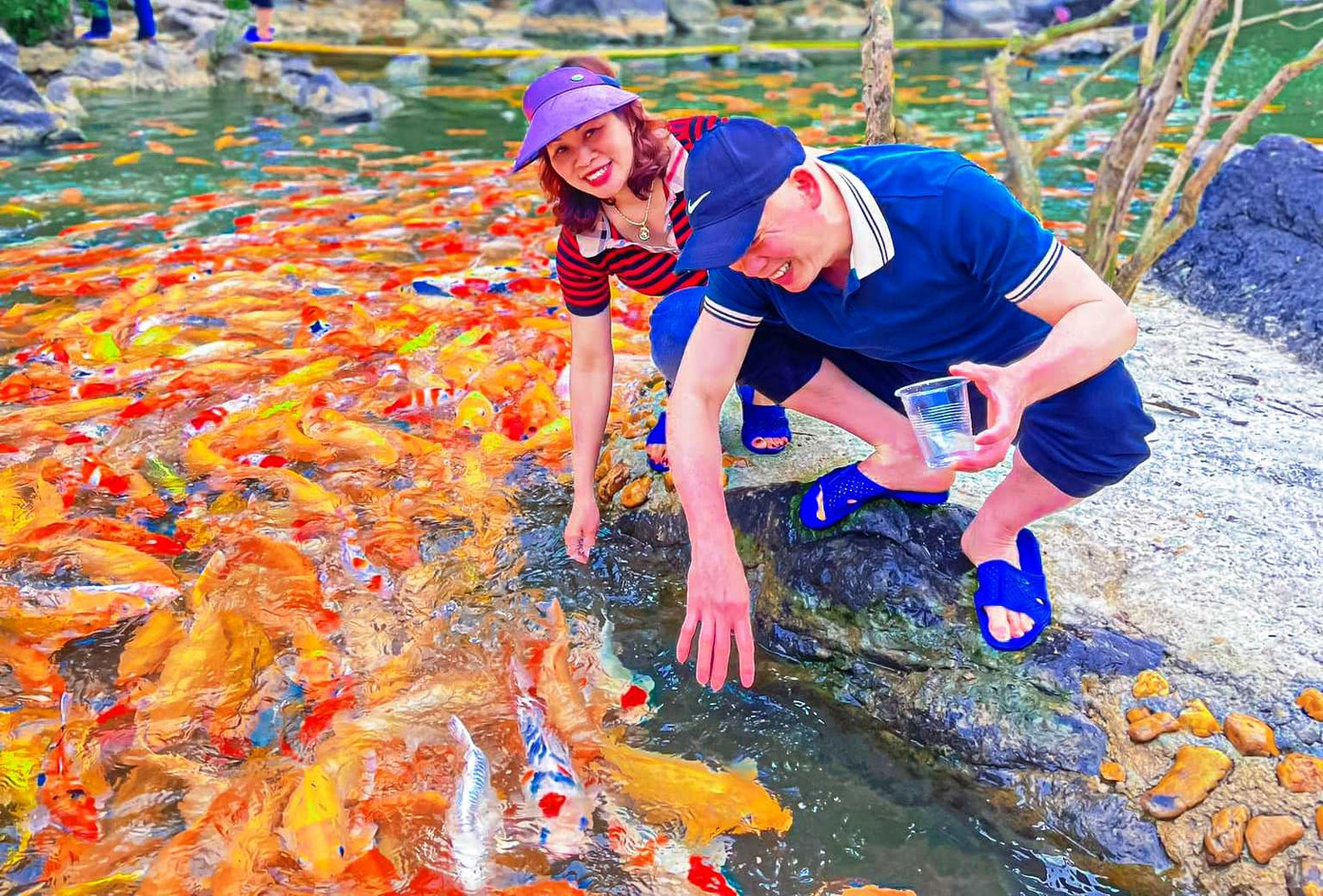 Du khách có thể vui đùa, ngắm đàn cá thỏa thích.