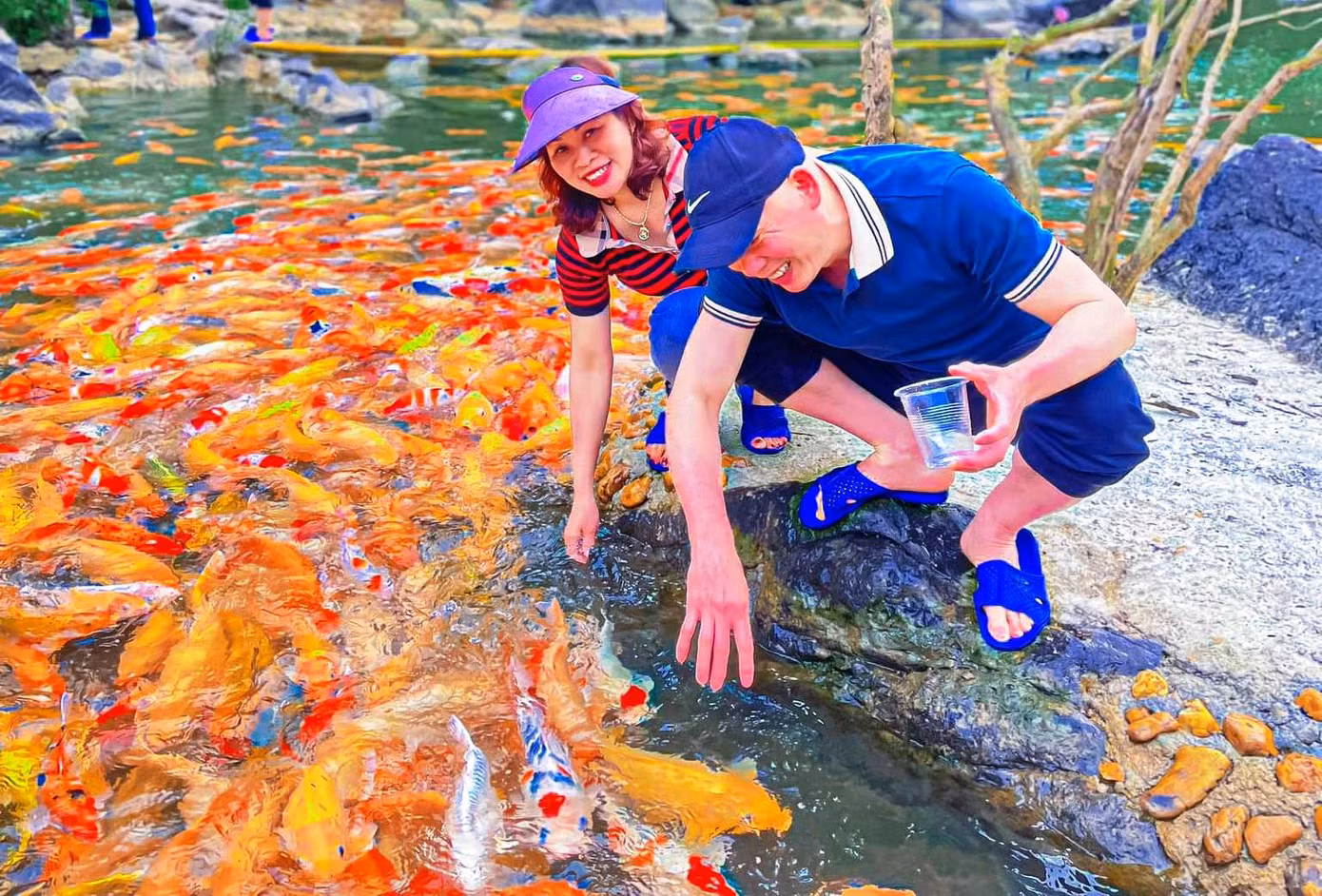 Du khách có thể vui đùa, ngắm đàn cá thỏa thích.