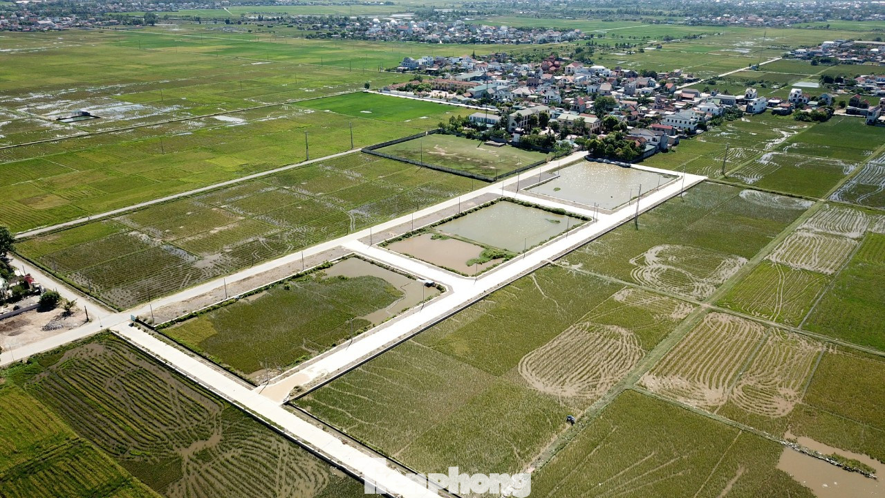 Toàn cảnh khu đất 56 lô vừa được tổ chức đấu giá tại xã Quỳnh Hưng (Quỳnh Lưu, Nghệ An) Toàn cảnh khu đất 56 lô vừa được tổ chức đấu giá tại xã Quỳnh Hưng (Quỳnh Lưu, Nghệ An)