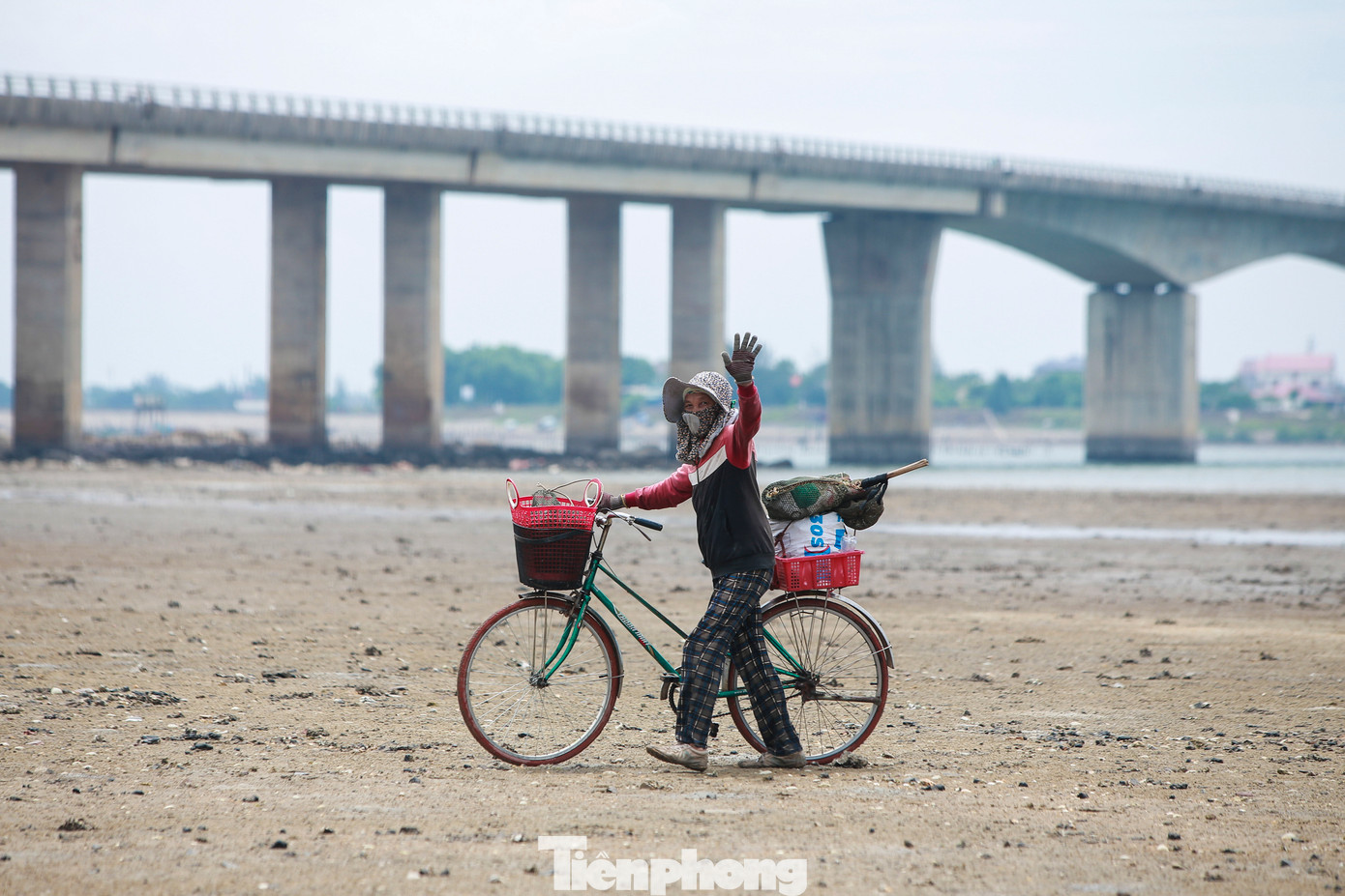 Khi triều cường lên lại cũng là lúc họ mang chiến lợi phẩm trên chiếc xe đạp, xuyên qua bãi bồi ven biển để trở về.