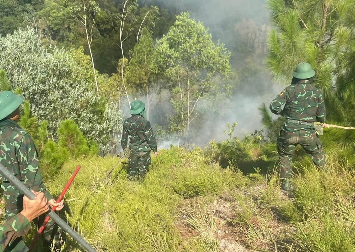 Đám cháy rừng thông khó kiểm soát nên lan rộng. Đám cháy rừng thông khó kiểm soát nên lan rộng.