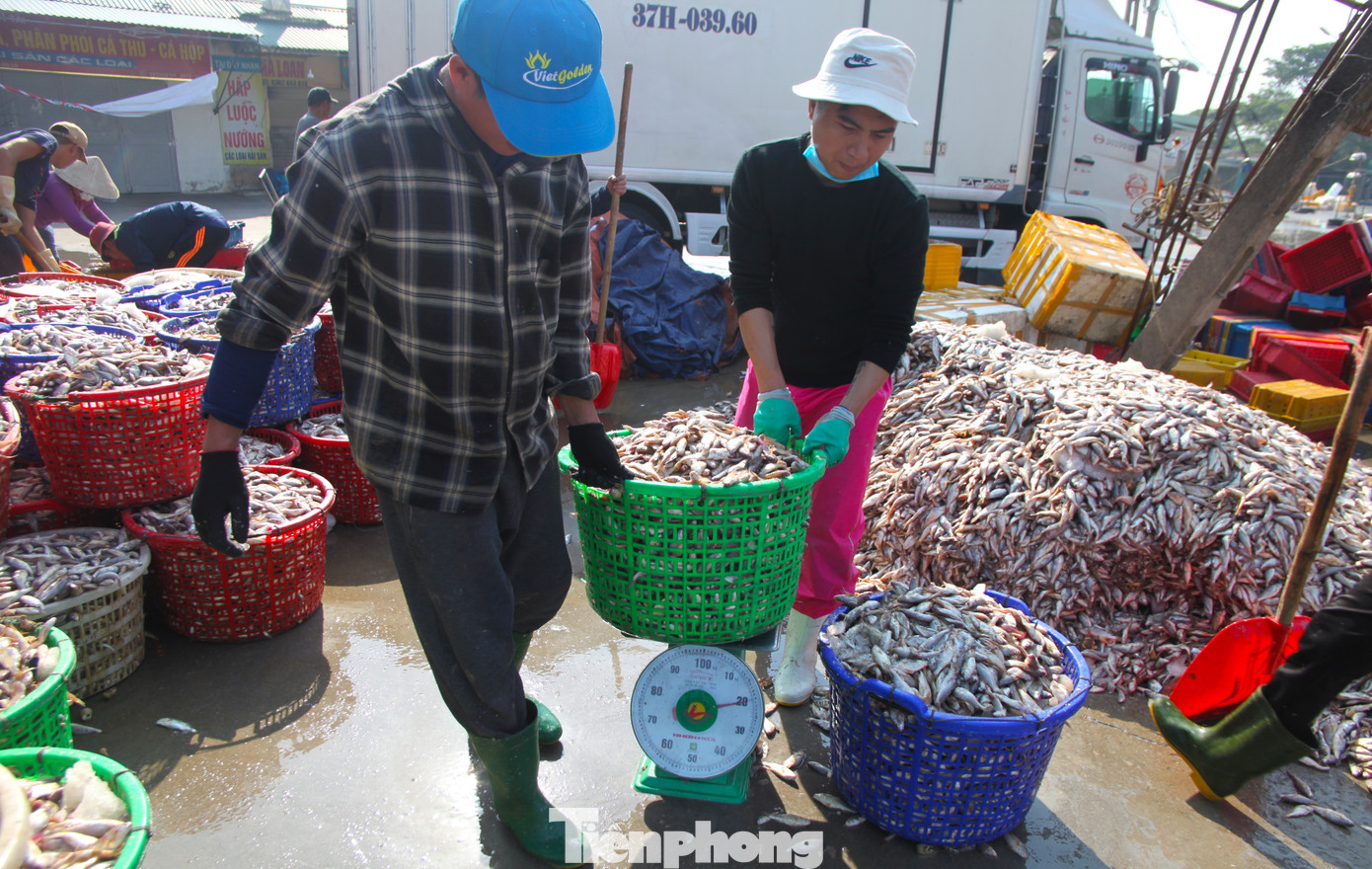 "Chưa biết sẽ làm đến lúc nào nhưng cũng không có việc gì hơn nữa. Cứ có sức khỏe là tôi lại theo mọi người ra cảng để làm thuê. Ngày nhiều cũng kiếm được 4-500 nghìn. Nhiều người chưa quen thì thấy mùi tanh hôi nhưng chúng tôi làm quen thấy bình thường", anh Nguyễn Ngọc Khang (trú phường Nghi Thủy, TX. Cửa Lò) chia sẻ. "Chưa biết sẽ làm đến lúc nào nhưng cũng không có việc gì hơn nữa. Cứ có sức khỏe là tôi lại theo mọi người ra cảng để làm thuê. Ngày nhiều cũng kiếm được 4-500 nghìn. Nhiều người chưa quen thì thấy mùi tanh hôi nhưng chúng tôi làm quen thấy bình thường", anh Nguyễn Ngọc Khang (trú phường Nghi Thủy, TX. Cửa Lò) chia sẻ.