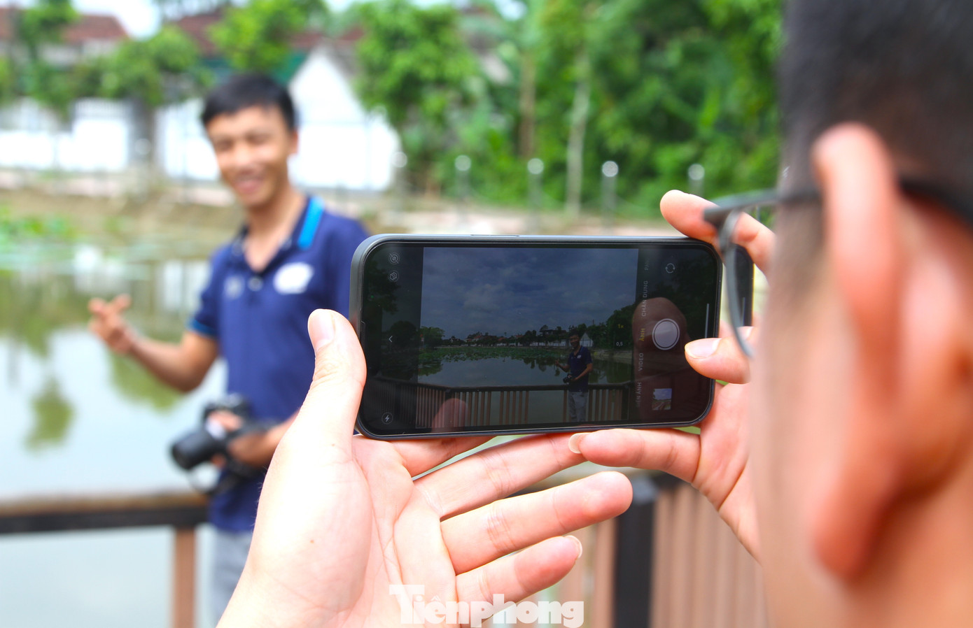 Các hồ sen ở quê Bác được thiết kế thêm nhiều cầu bằng sắt, nhựa, tre để du khách mỗi lần hành hương về có thể ra ngắm, chụp ảnh cùng những bông hoa sen tươi đẹp.