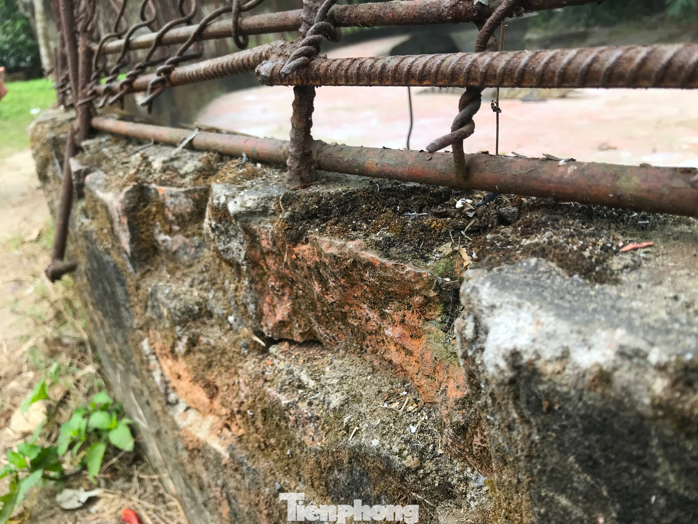 Dưới sát mặt đất, khu nuôi cá sấu được bao bọc một lớp tường vây cao chừng 30cm. Dưới sát mặt đất, khu nuôi cá sấu được bao bọc một lớp tường vây cao chừng 30cm.