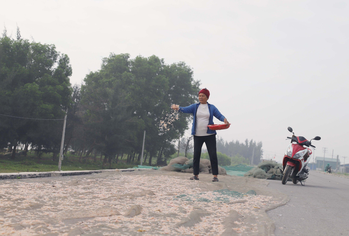 Ngoài bán ruốc tươi cho thương lái, ngư dân còn làm ruốc khô để bán dần ra thị trường