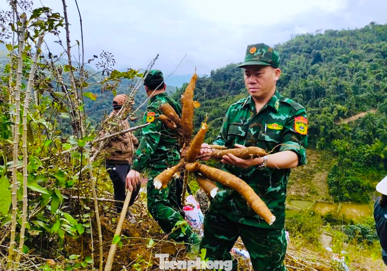 Cán bộ, chiến sỹ BĐBP Nghệ An giúp các hộ dân ở xã Mỹ Lý (huyện Kỳ Sơn, Nghệ An) thực hiện mô hình phát triển kinh tế “trồng sắn cao sản kết hợp trồng keo" thu hoạch sắn.