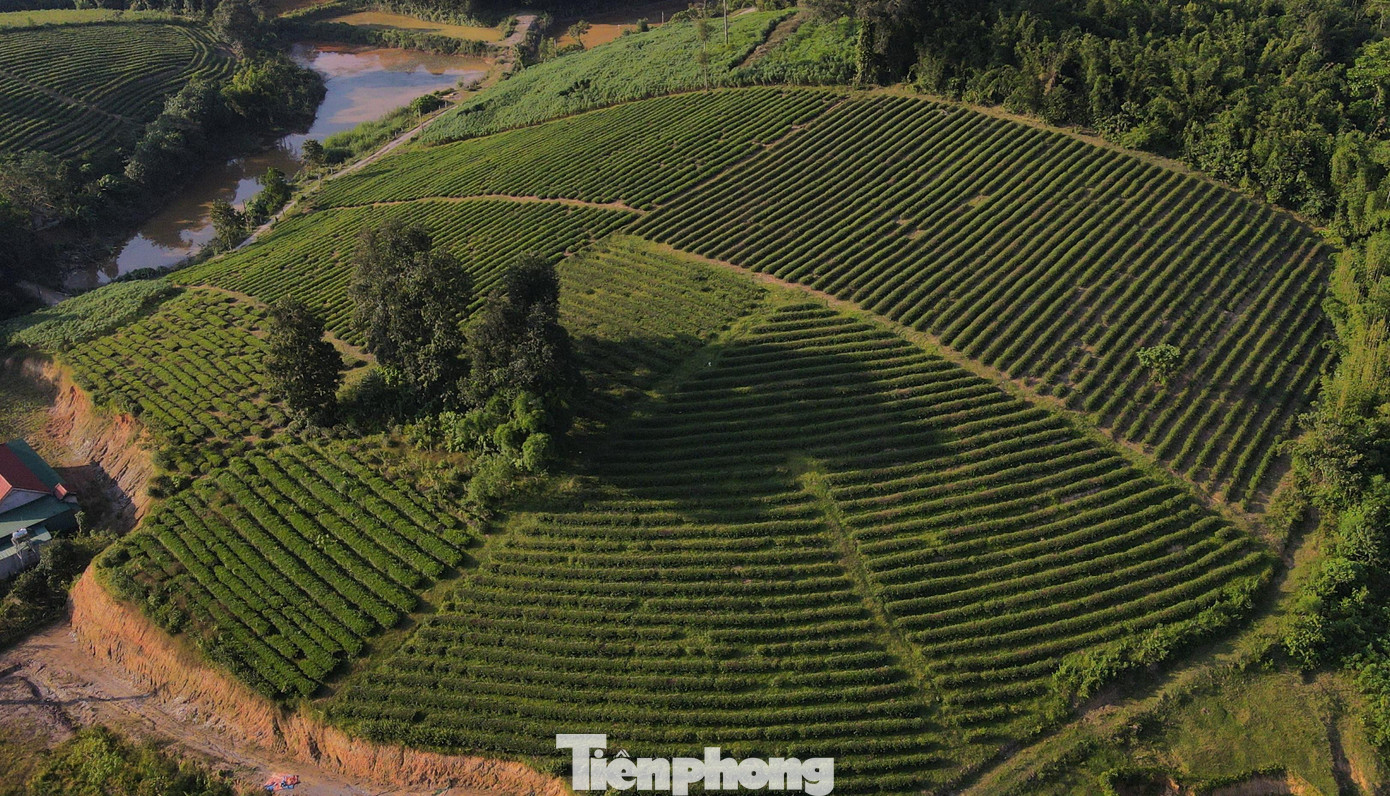 Anh Sơn còn được biết đến là một trong những "thủ phủ" chè nguyên liệu tỉnh Nghệ An. Khí hậu và địa hình nơi đây tạo nên loại chè ngon nức tiếng và cũng là nơi hấp dẫn nhiều bạn trẻ khi được tới đây chụp ảnh lưu niệm ở những đồi chè này. Với những dãy núi đồi trùng điệp, có sông Lam, khe suối và bãi bồi, Anh Sơn là địa chỉ mới về du lịch nếu được đầu tư bài bản.