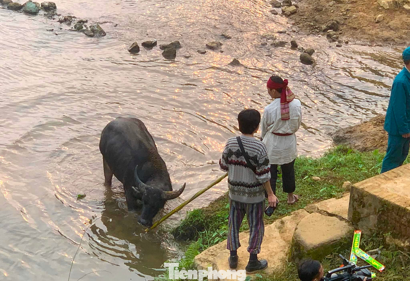 Đã thành lệ, lễ vật đầu tiên và không thể thiếu để dâng lên trong các dịp lễ tế trời bao giờ cũng là một con trâu - vật lễ trong các cuộc cúng tế linh thiêng nhất.
